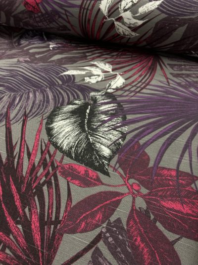 Panamá gatas doñana slt.