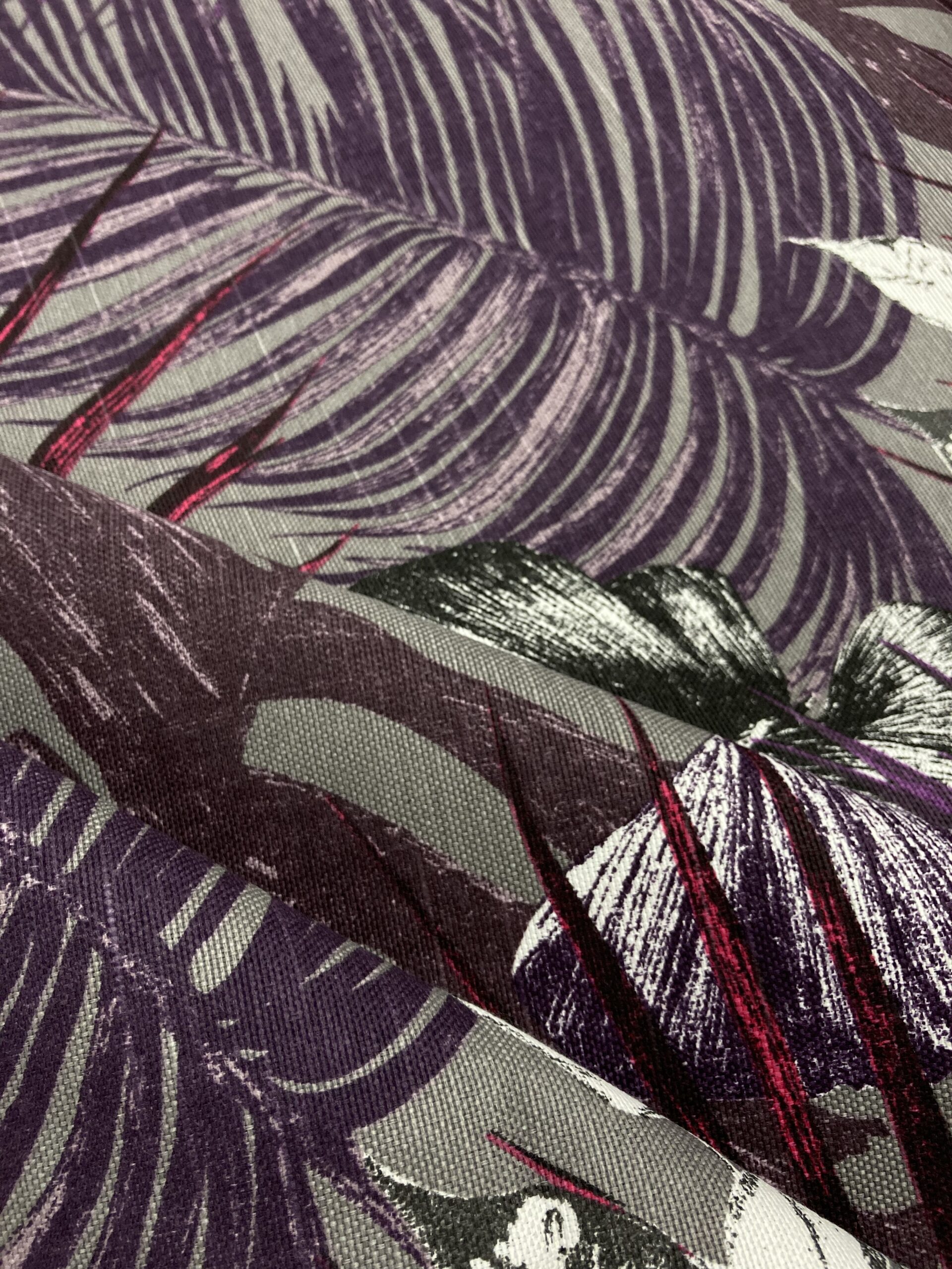 Panamá gatas doñana slt.