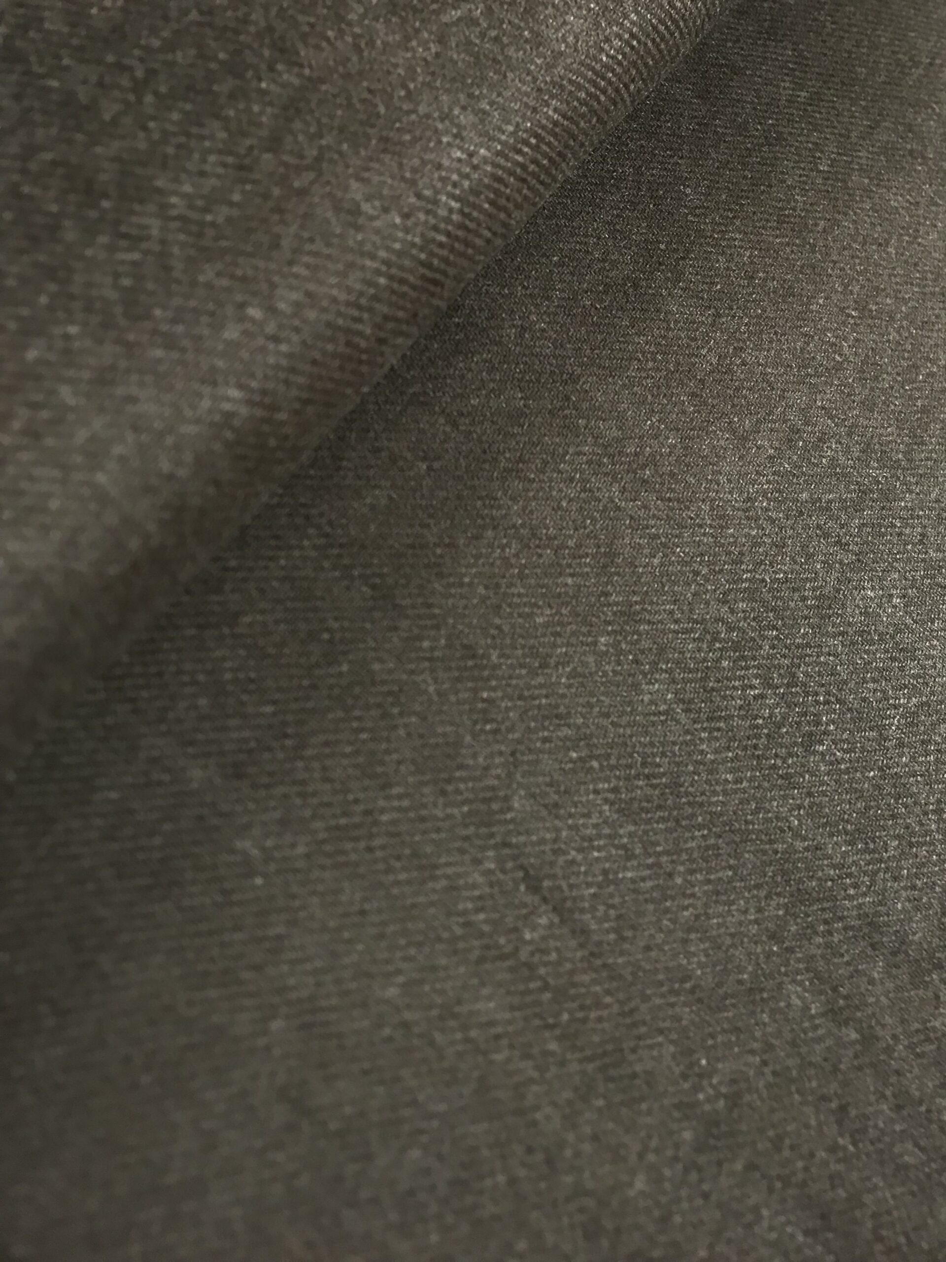 Sarga invierno marrón