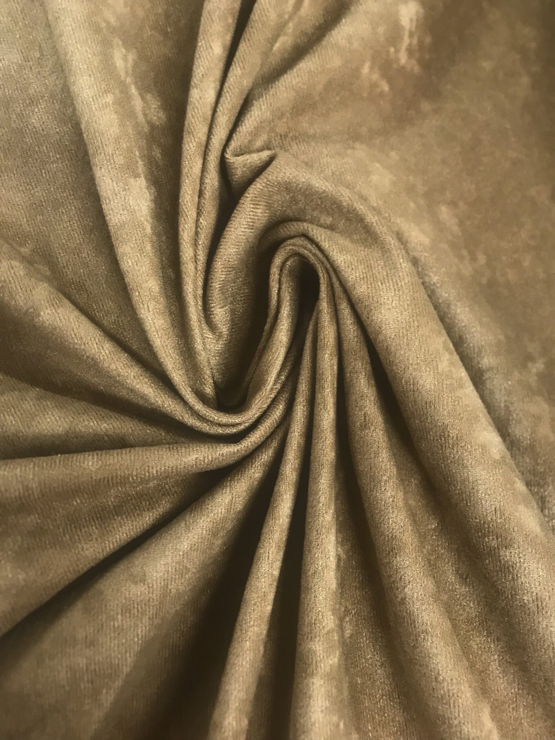 Antelina carnaval camel