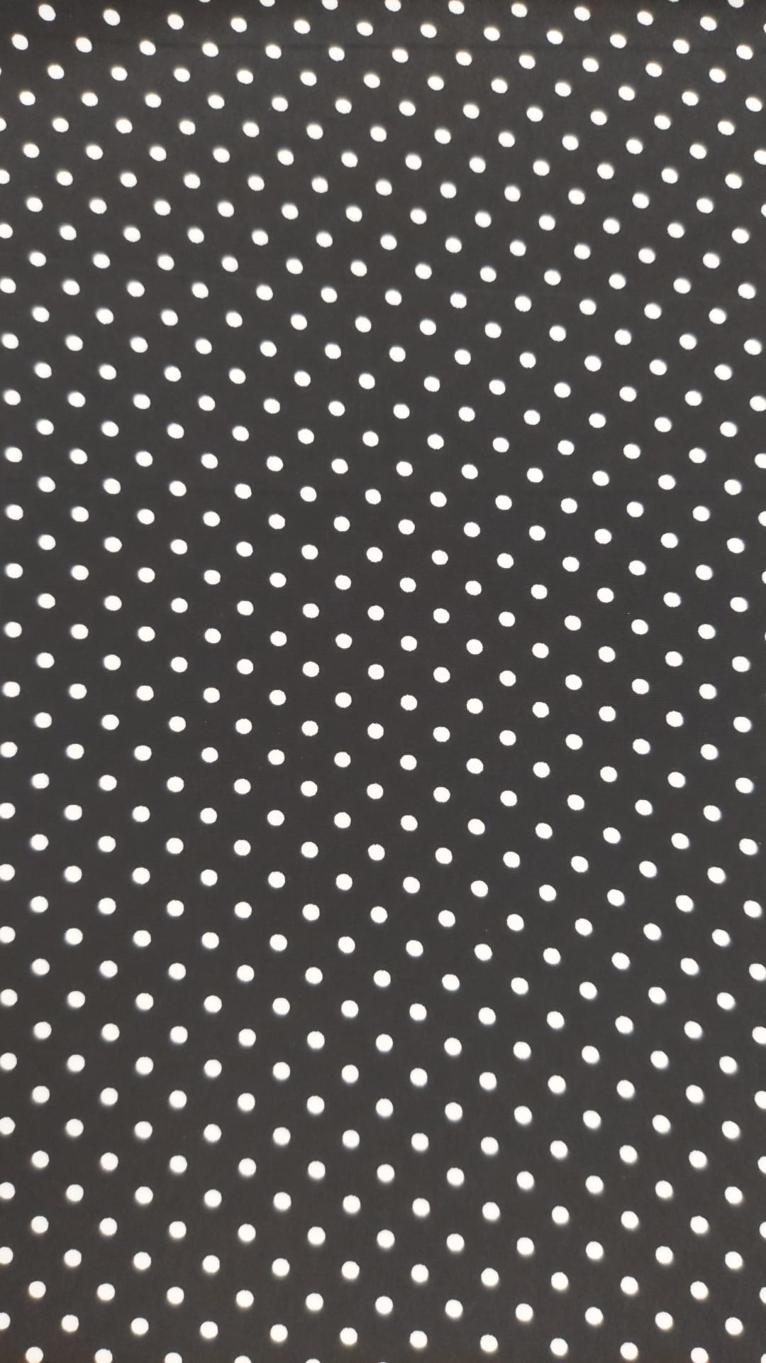 coxivo negro lunar blanco pequeño*