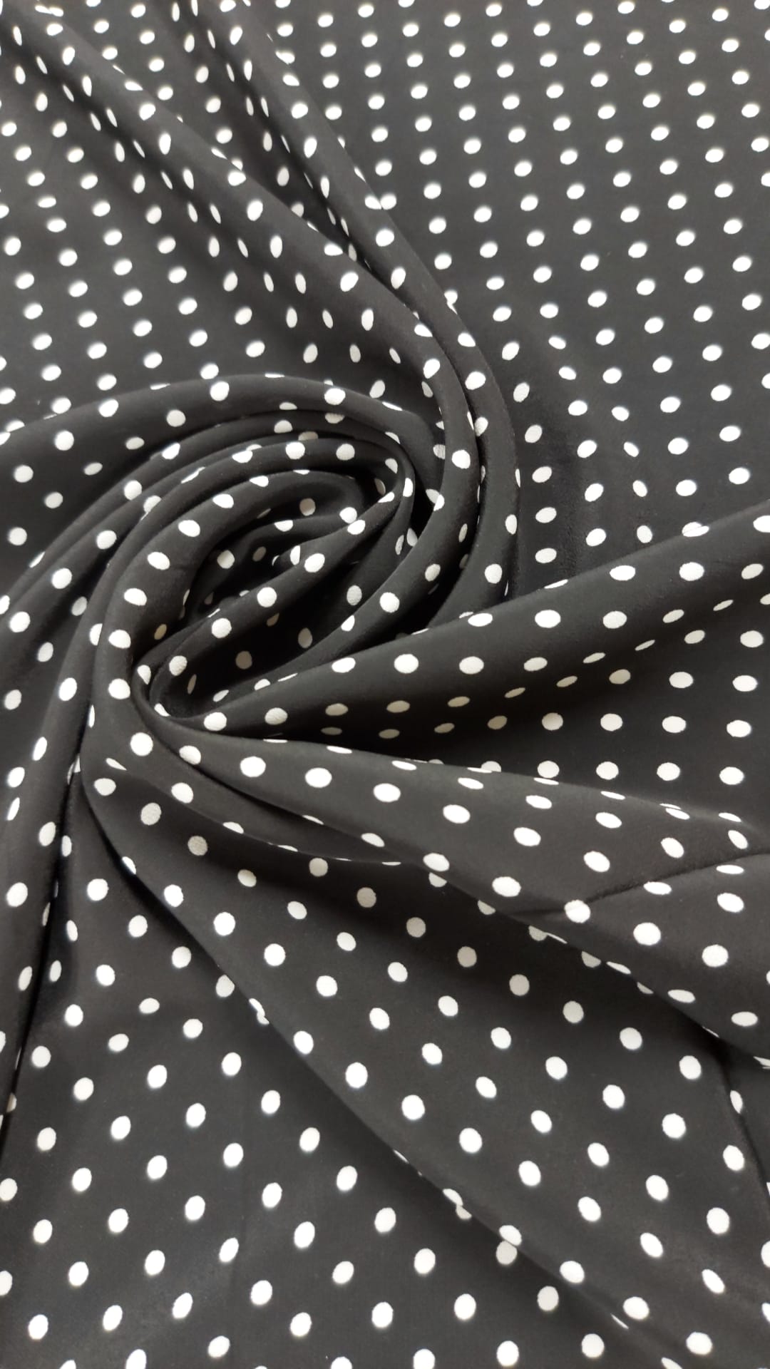 coxivo negro lunar blanco pequeño*