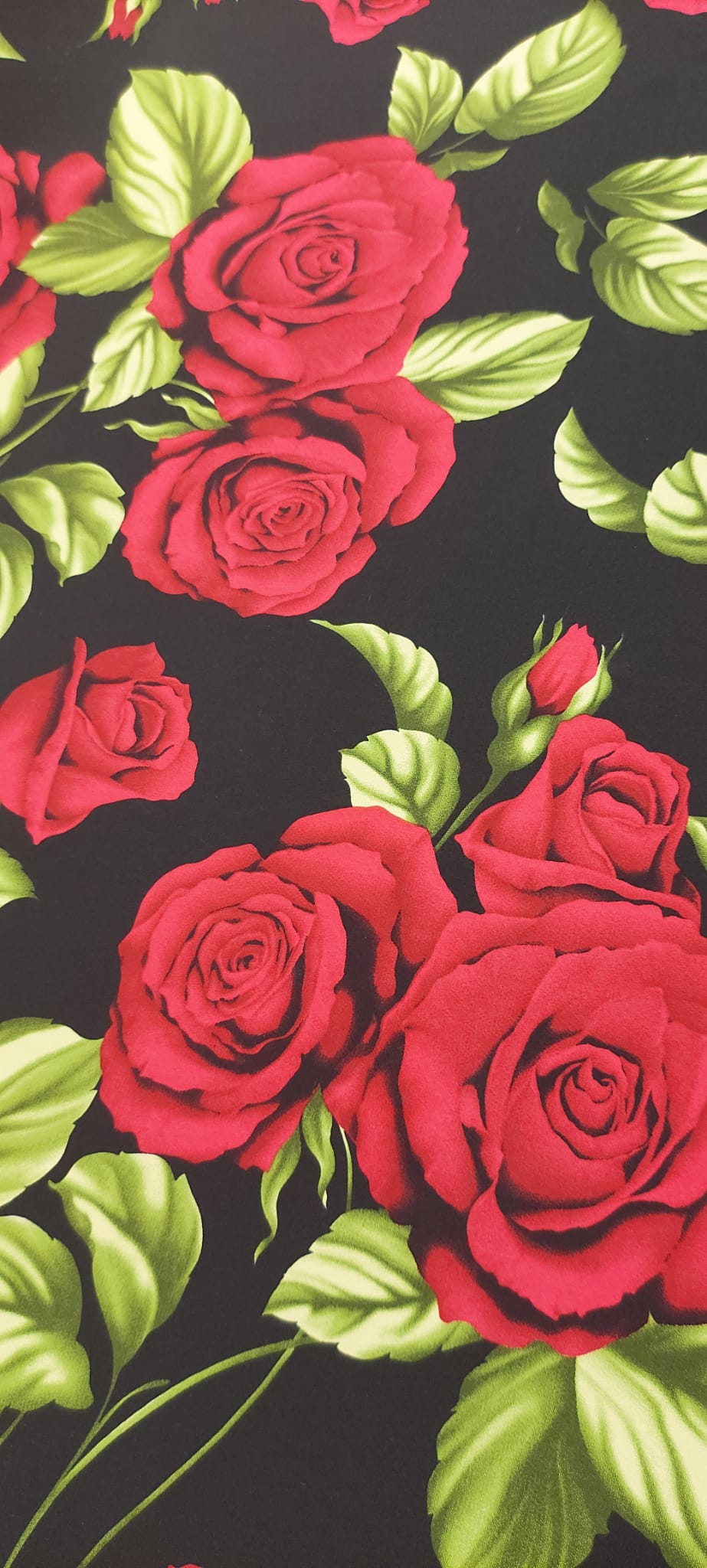 coxivo rosas grades f.negro