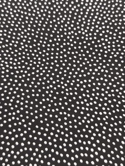 coxivo negro punto blanco pequeño*