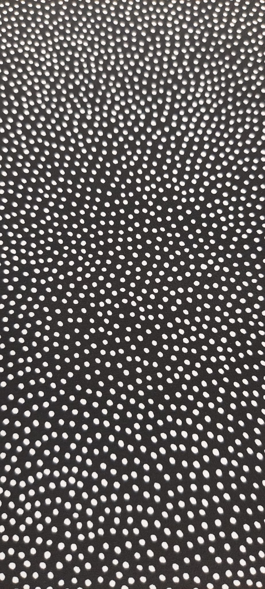 coxivo negro punto blanco pequeño*