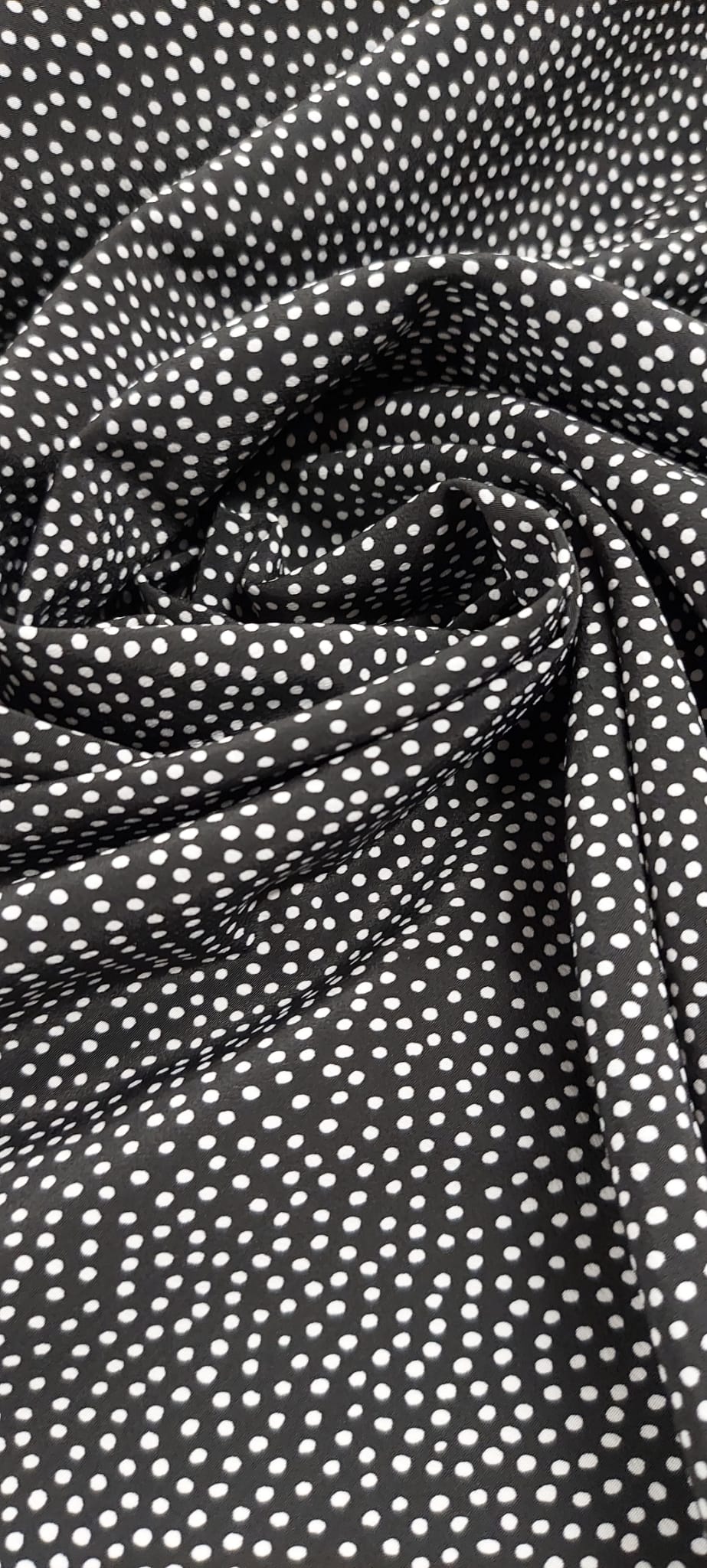 coxivo negro punto blanco pequeño*