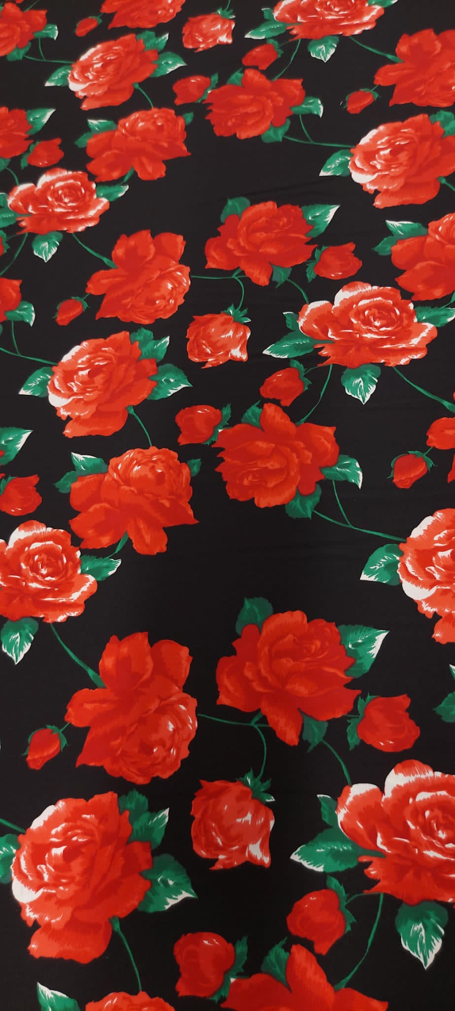 coxivo f.negro rosas rojas