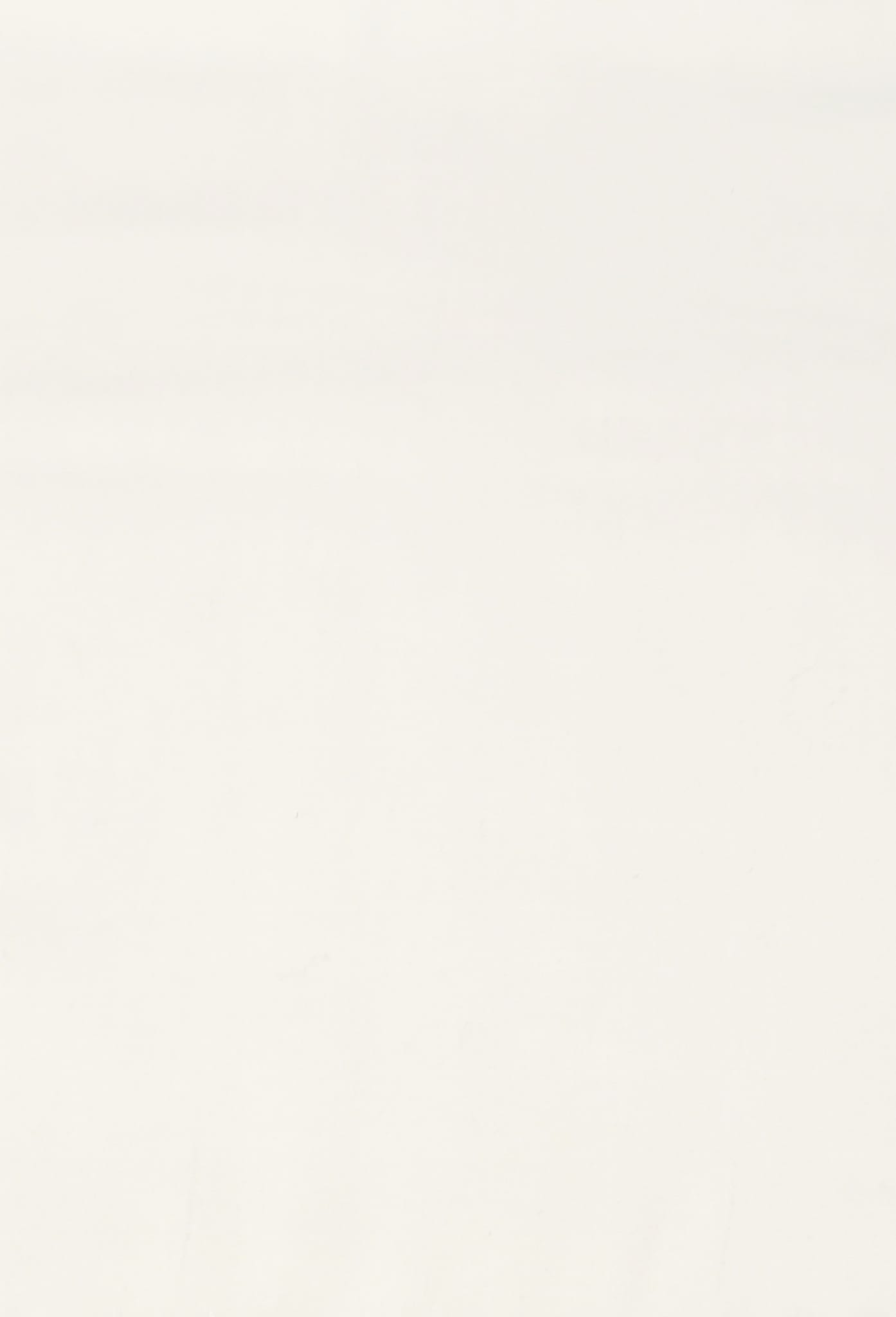 Popelín liso algodón orgánico Blanco Roto