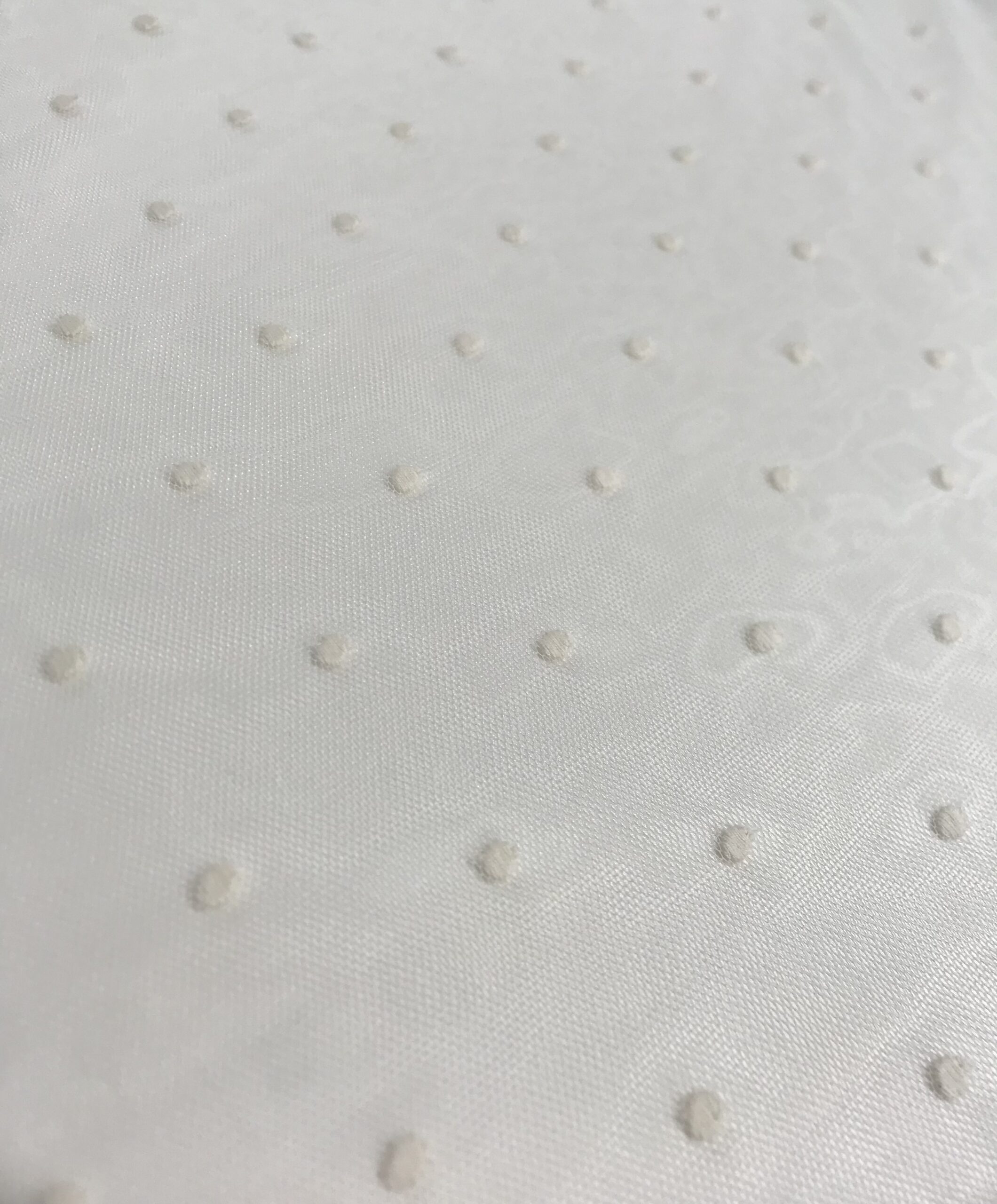 Tul bordado plumeti beig