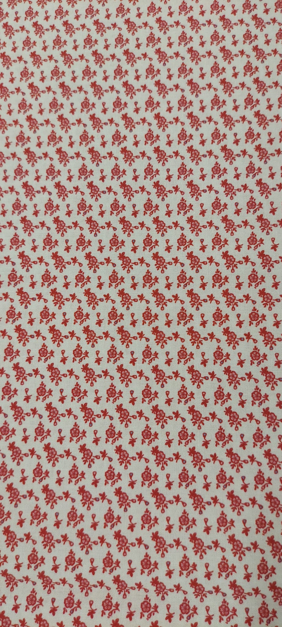 Algodón orgánico Folk ibai beig/rojo