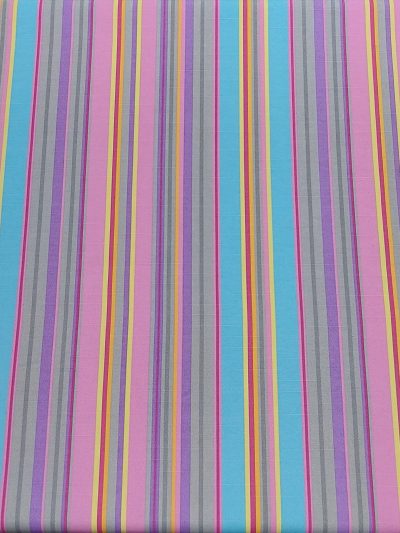 Panamá Gatas rayas primavera