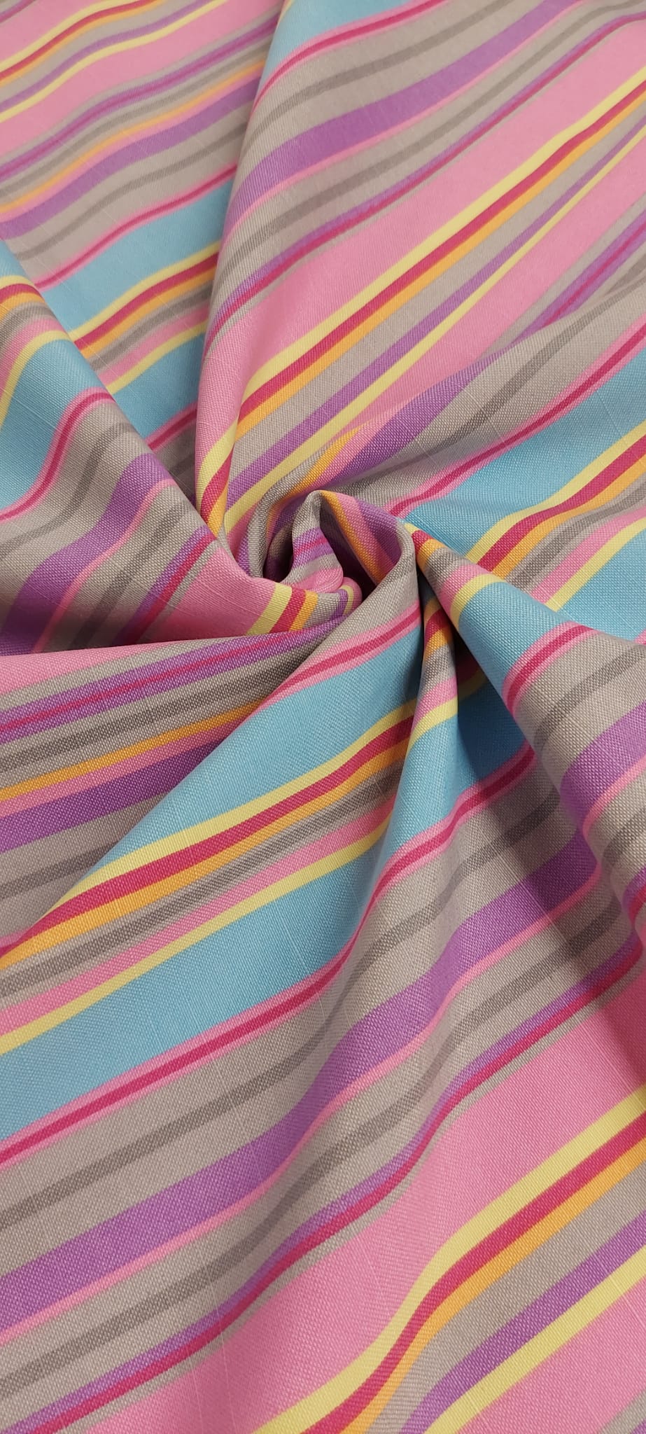 Panamá Gatas rayas primavera