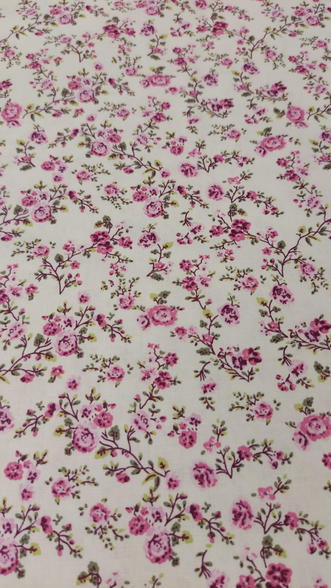 Flor Lily frambuesa fondo blanco grande