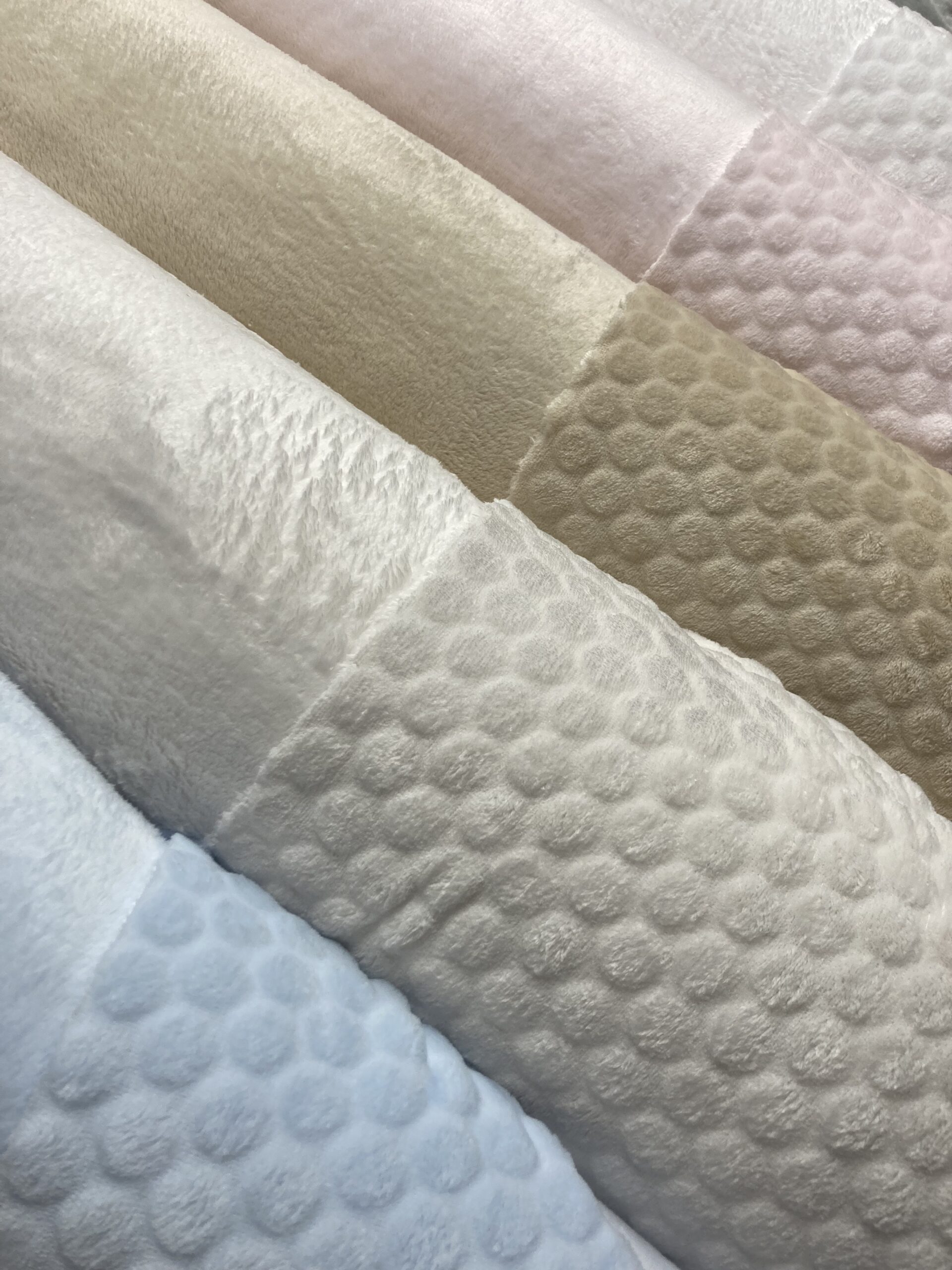 Coralina relieve topo piedra