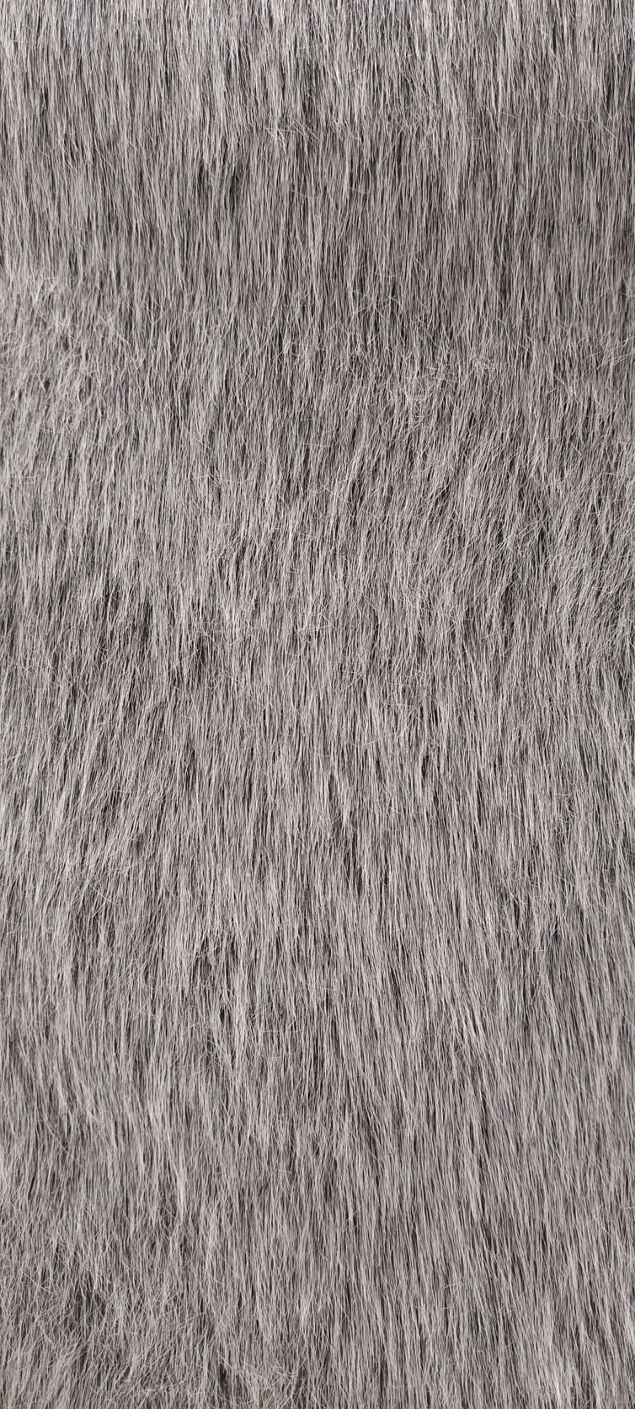 Pelo gris largo bicolor