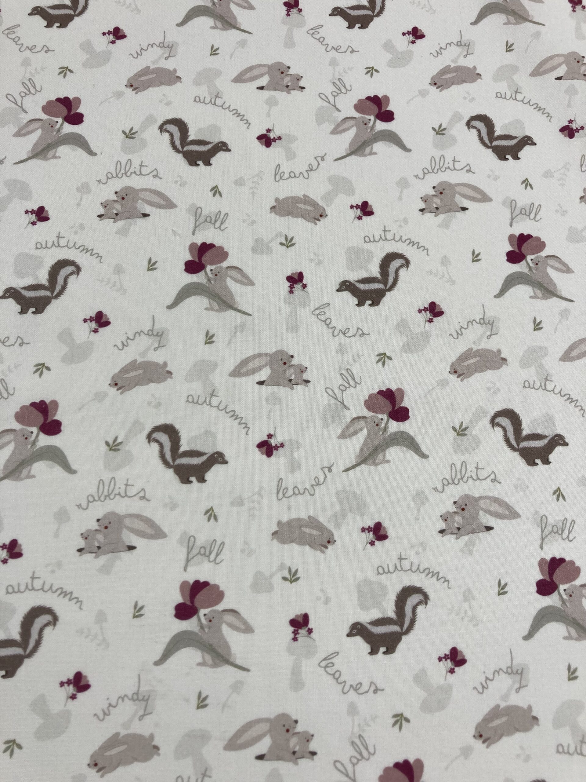 Willow setas y conejitos