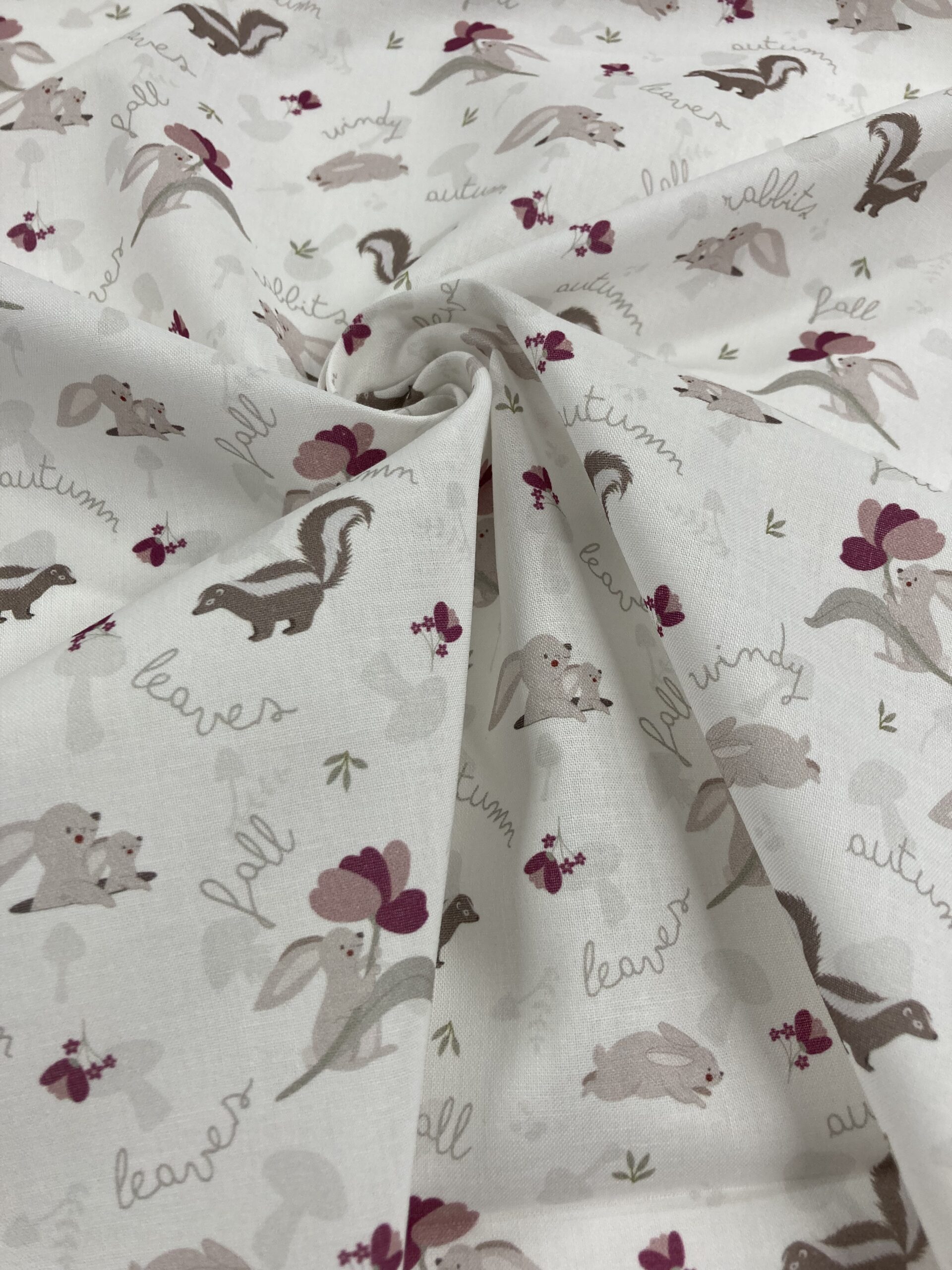 Willow setas y conejitos