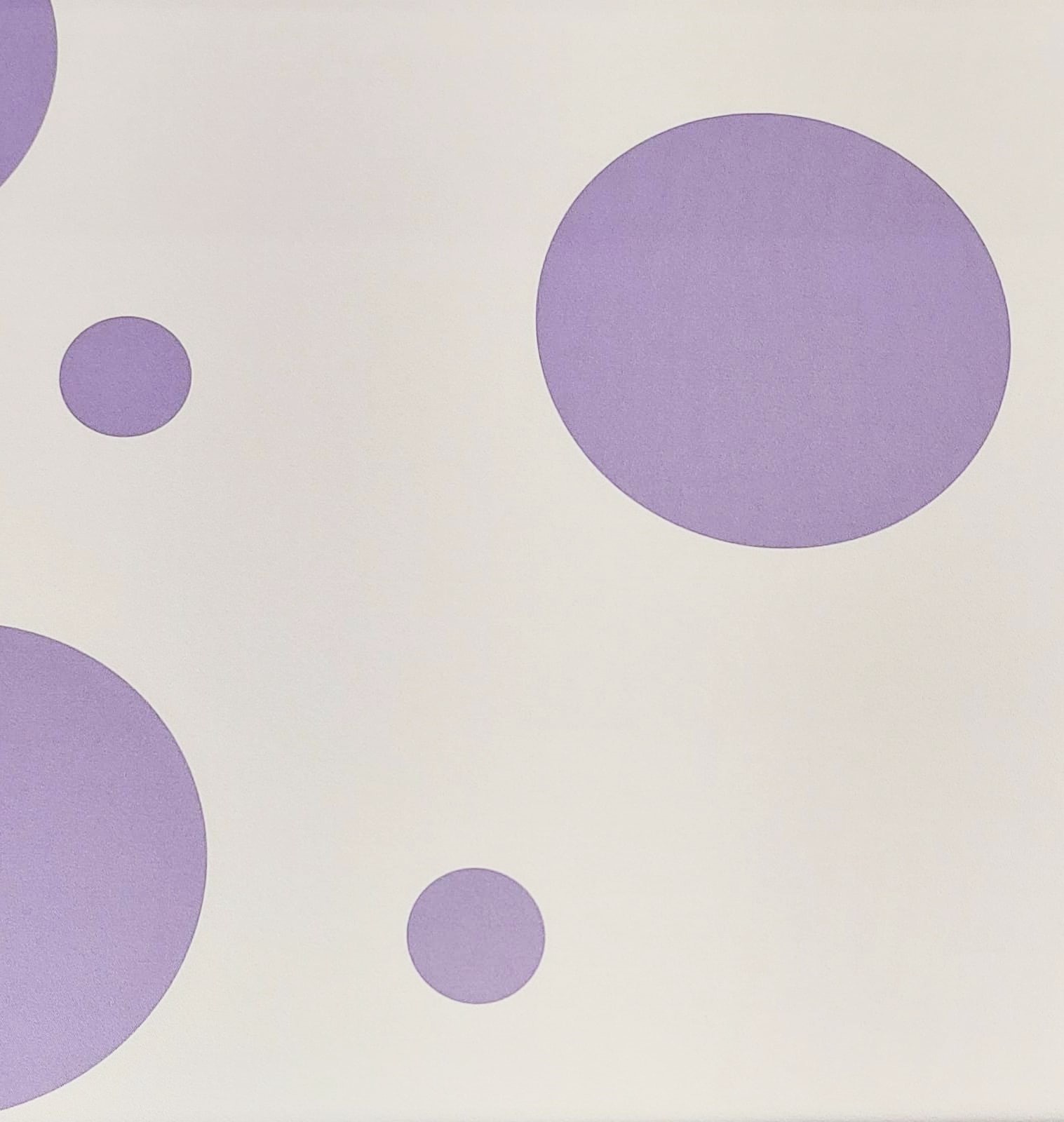 Bielástico gabardina crudo lunar malva G.*