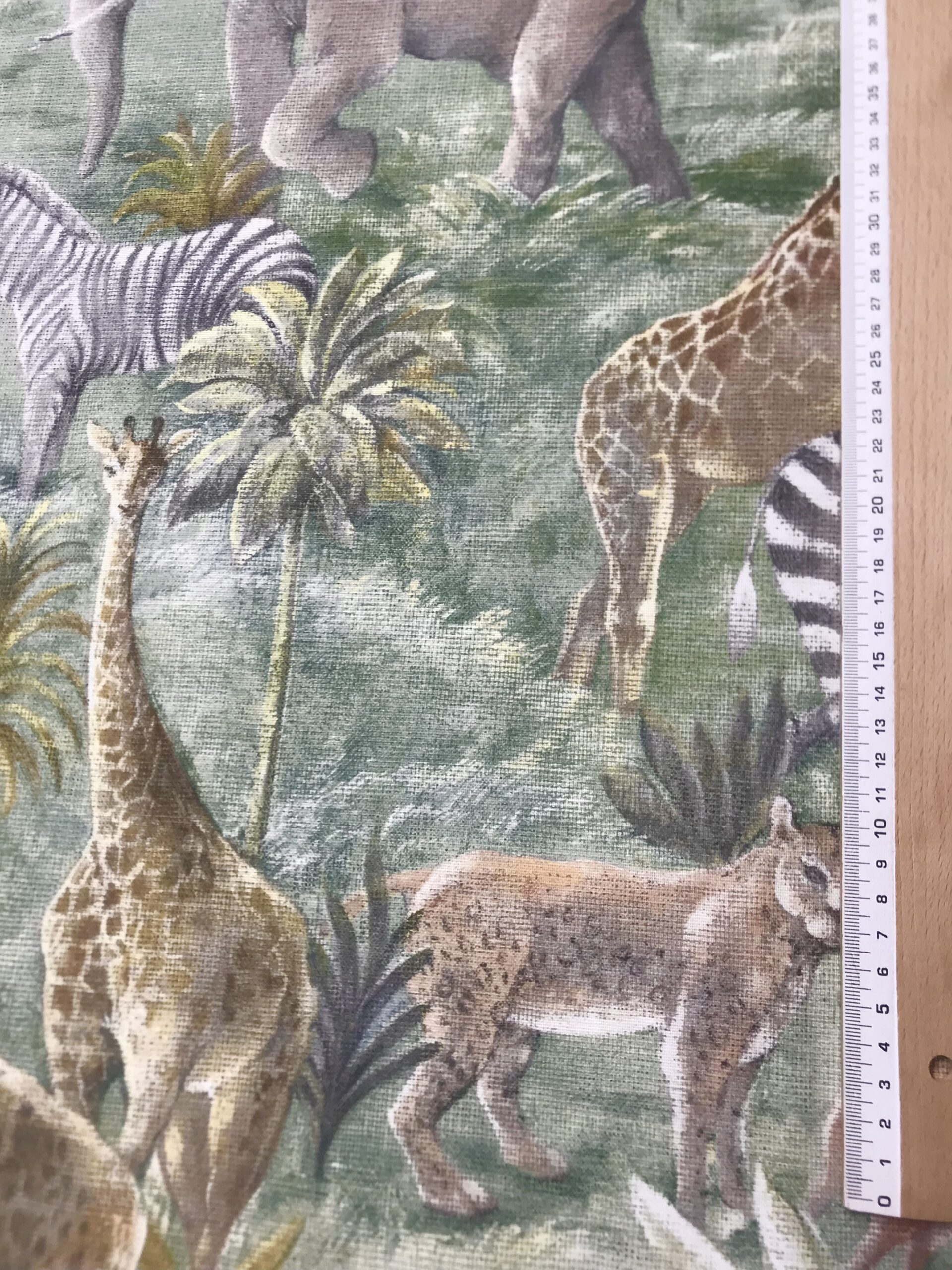 Panamá animales sabana