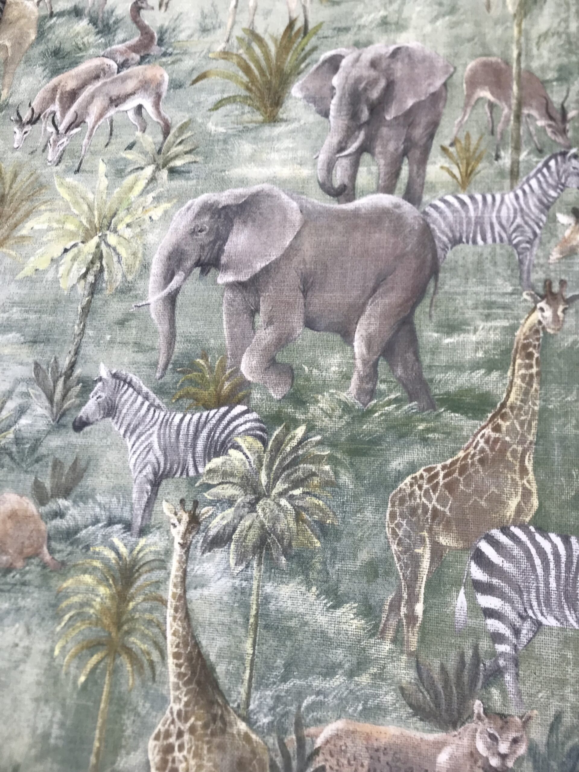 Panamá animales sabana