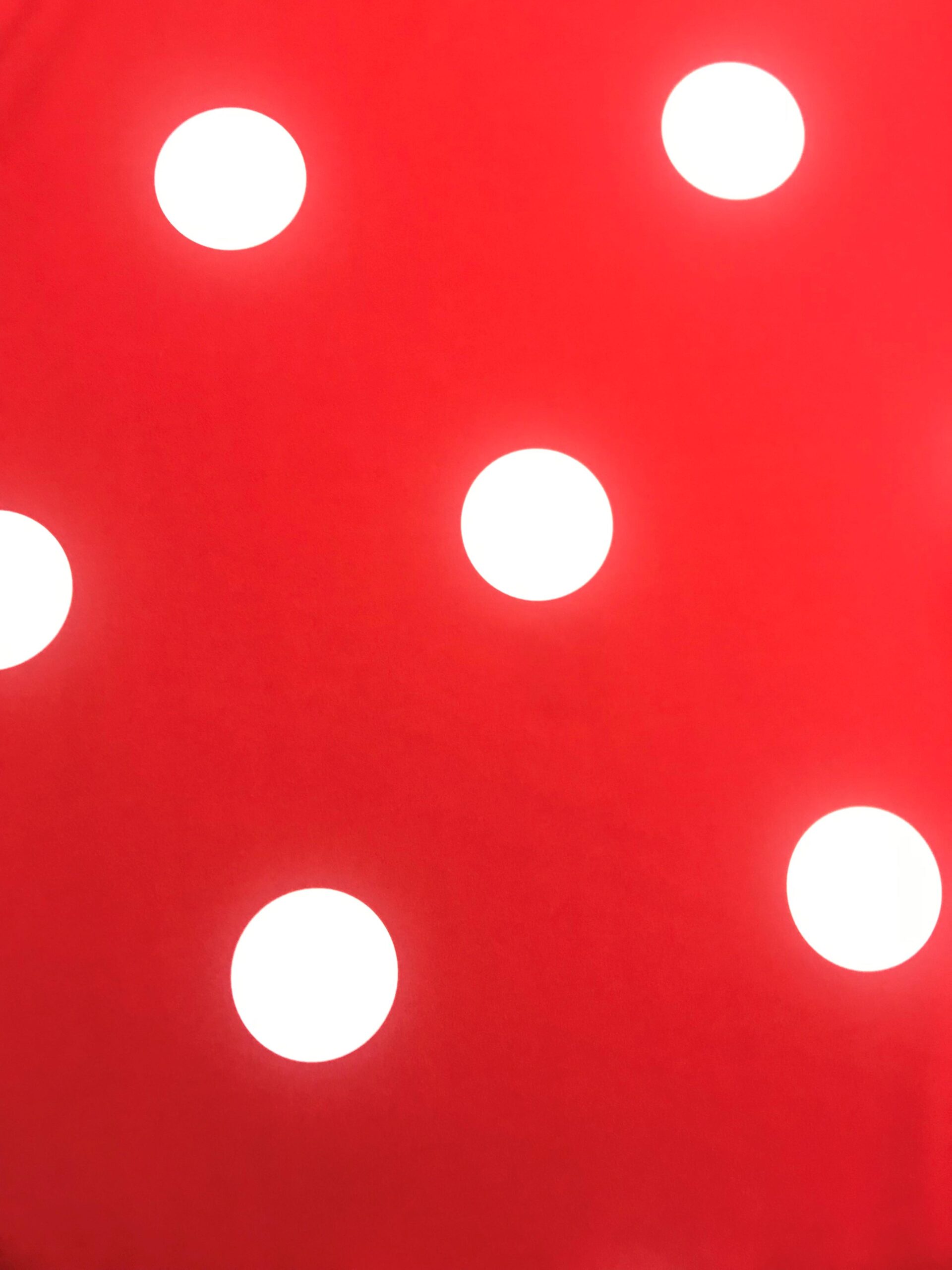 Bielástico fondo rojo l.blanco 7cm-