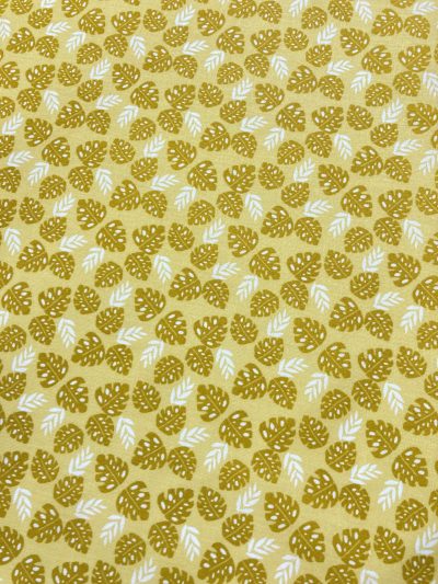 algodón bosque hojas