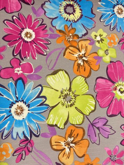 Panamá Gatas Flores primavera