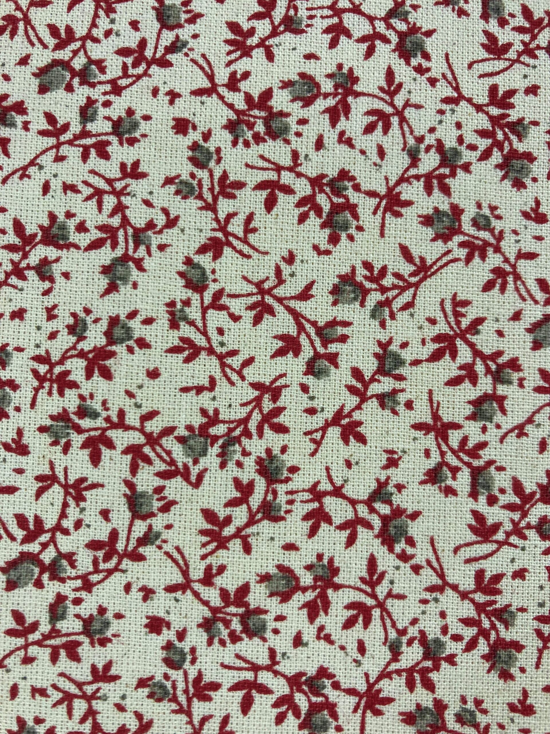 Algodón Mireia Tallos