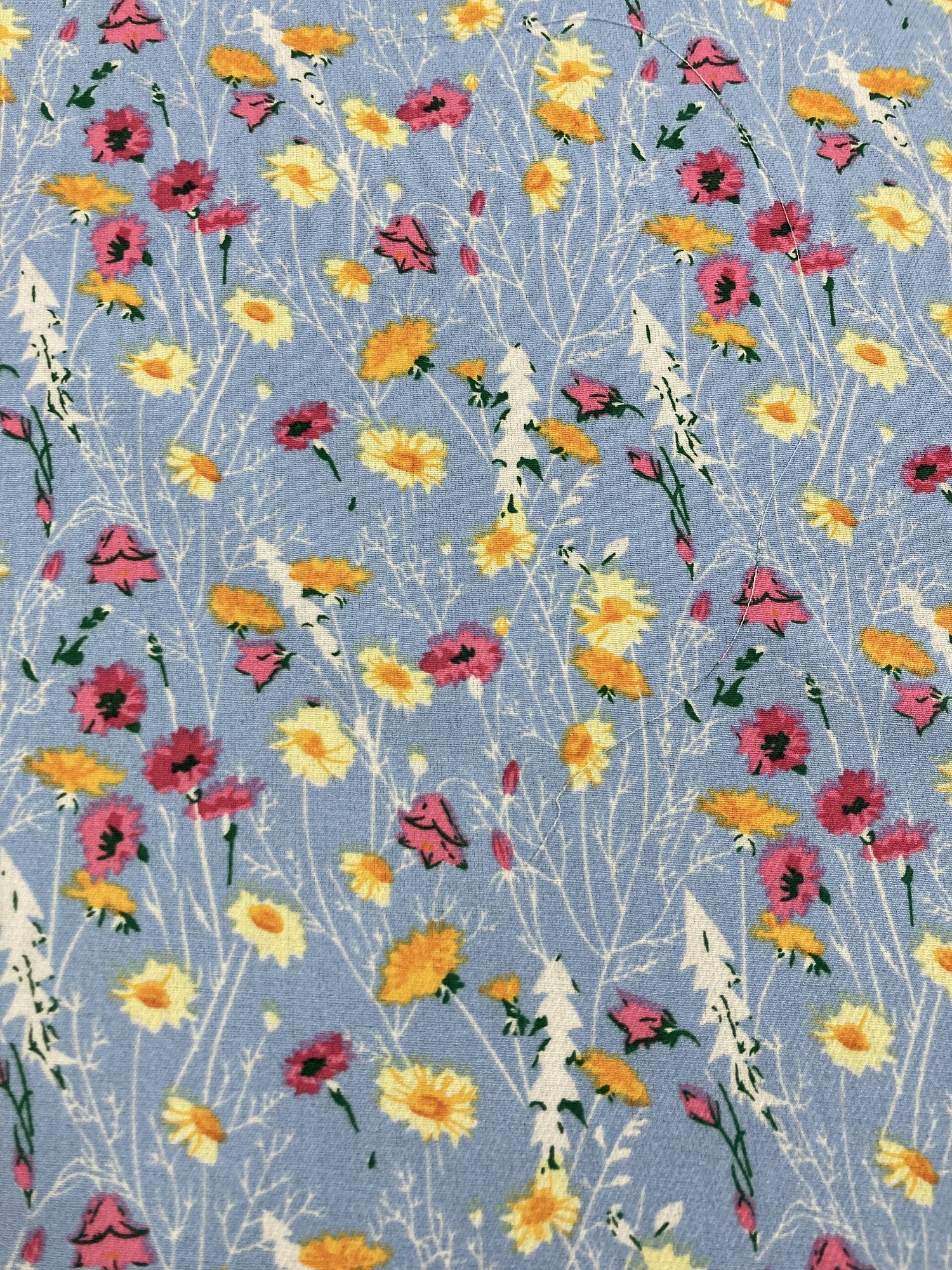 Viscosa flores f.celeste