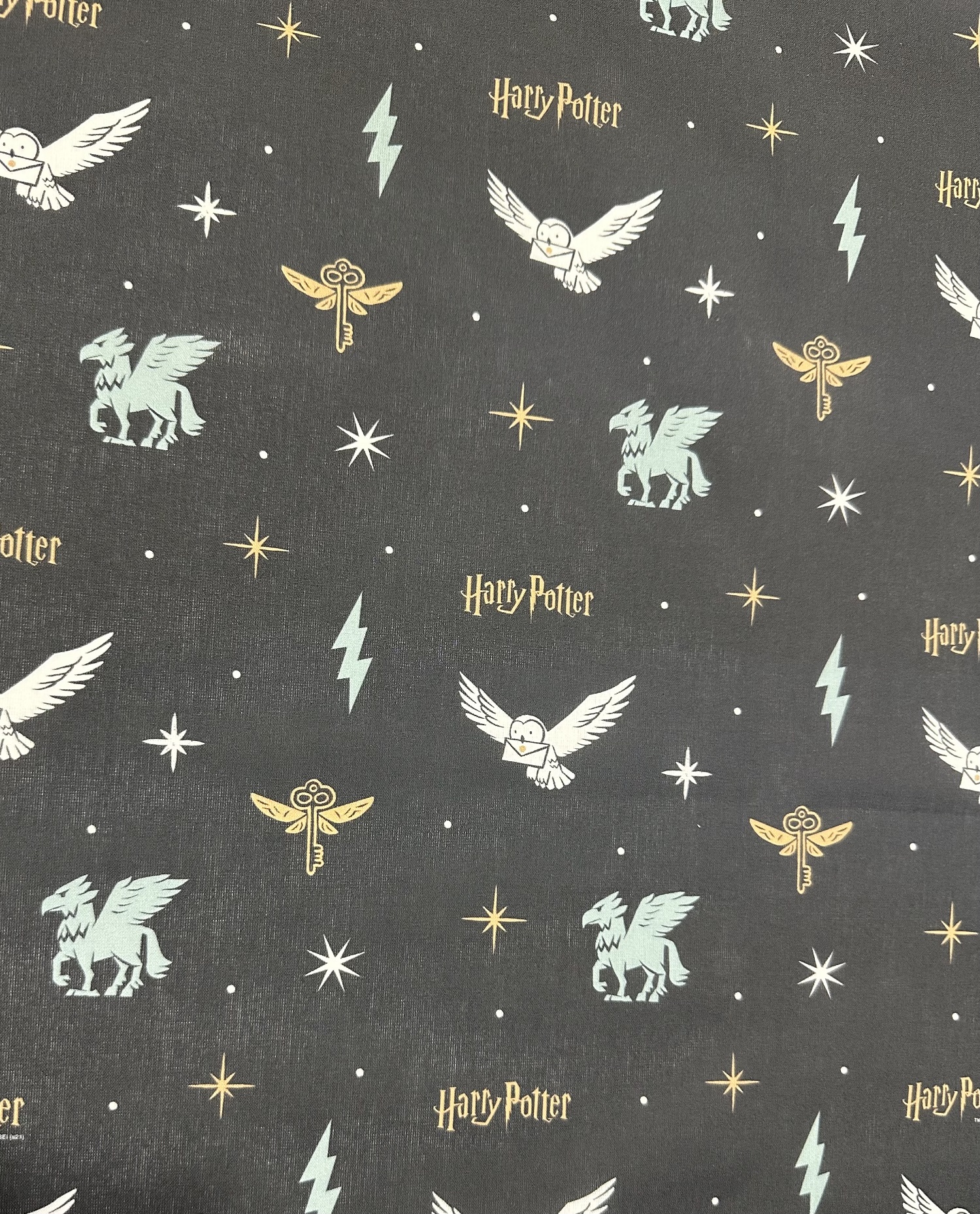 Harry Potter Universe