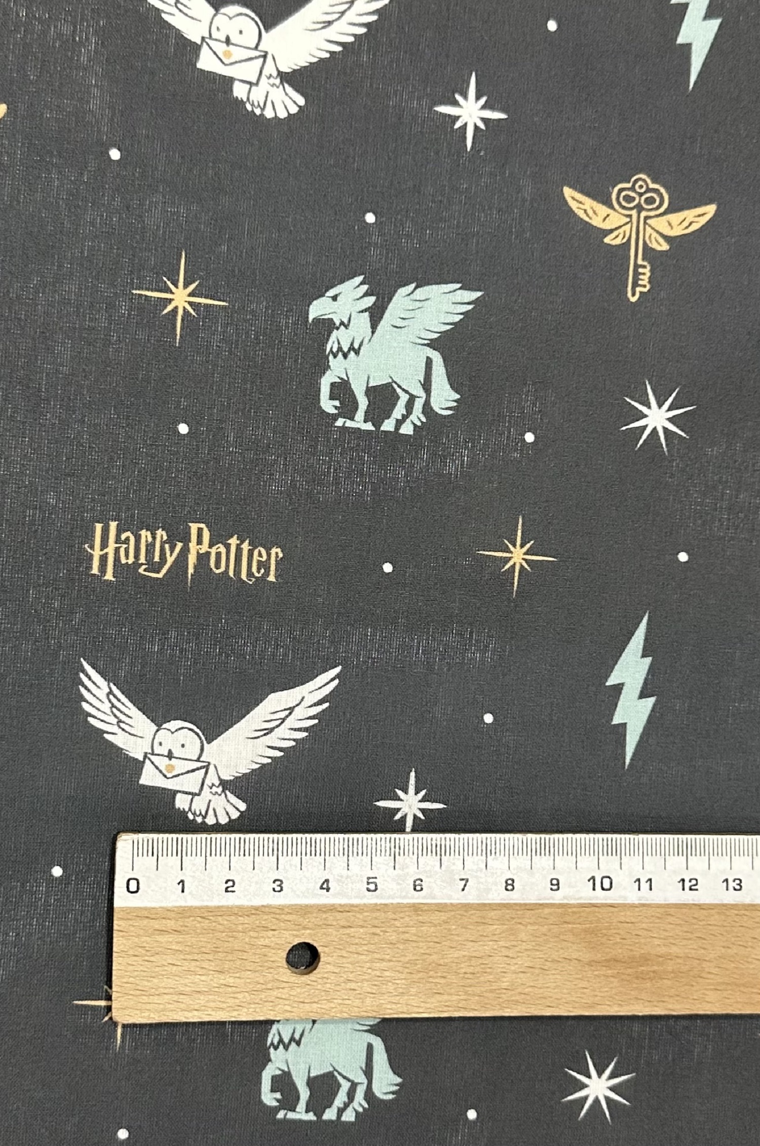 Harry Potter Universe