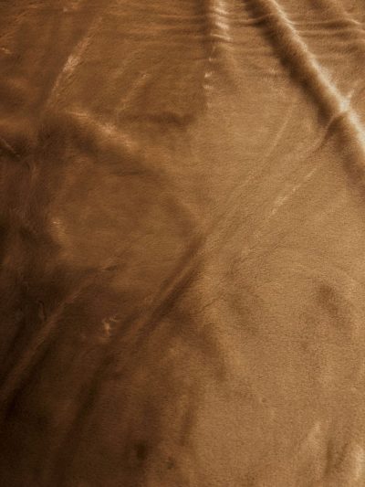 Pelo corto lux Moscú marrón