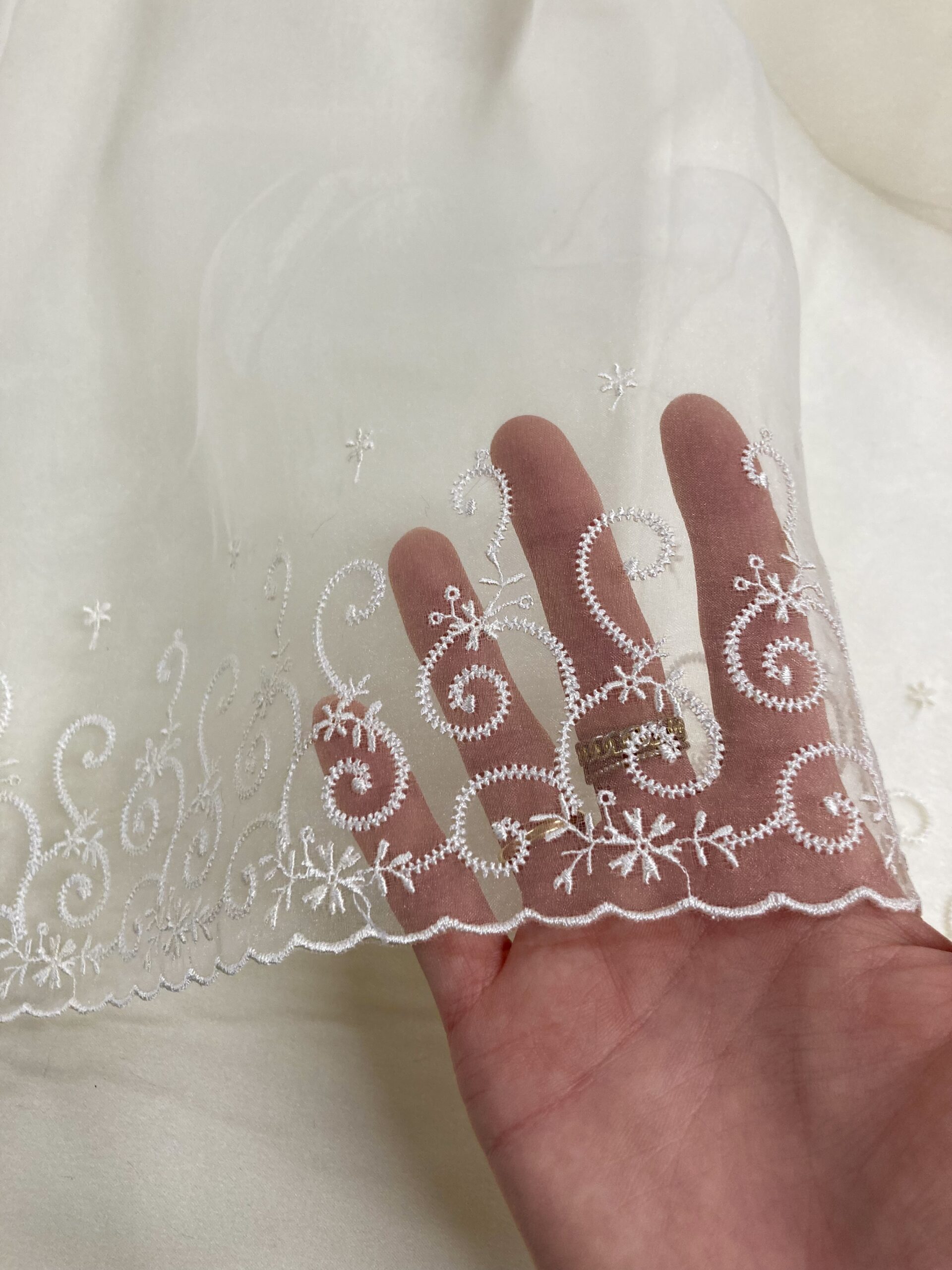 Organza bordada Espiral beig