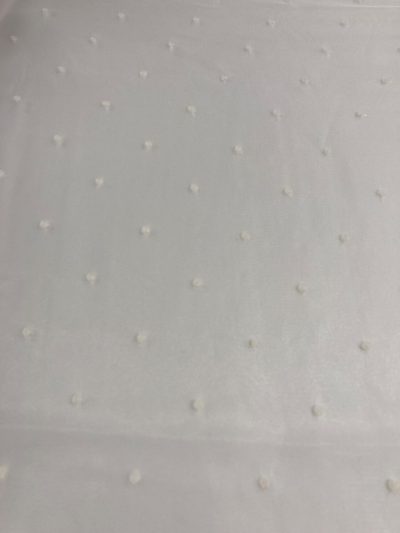 Organza plumeti bordada blanca