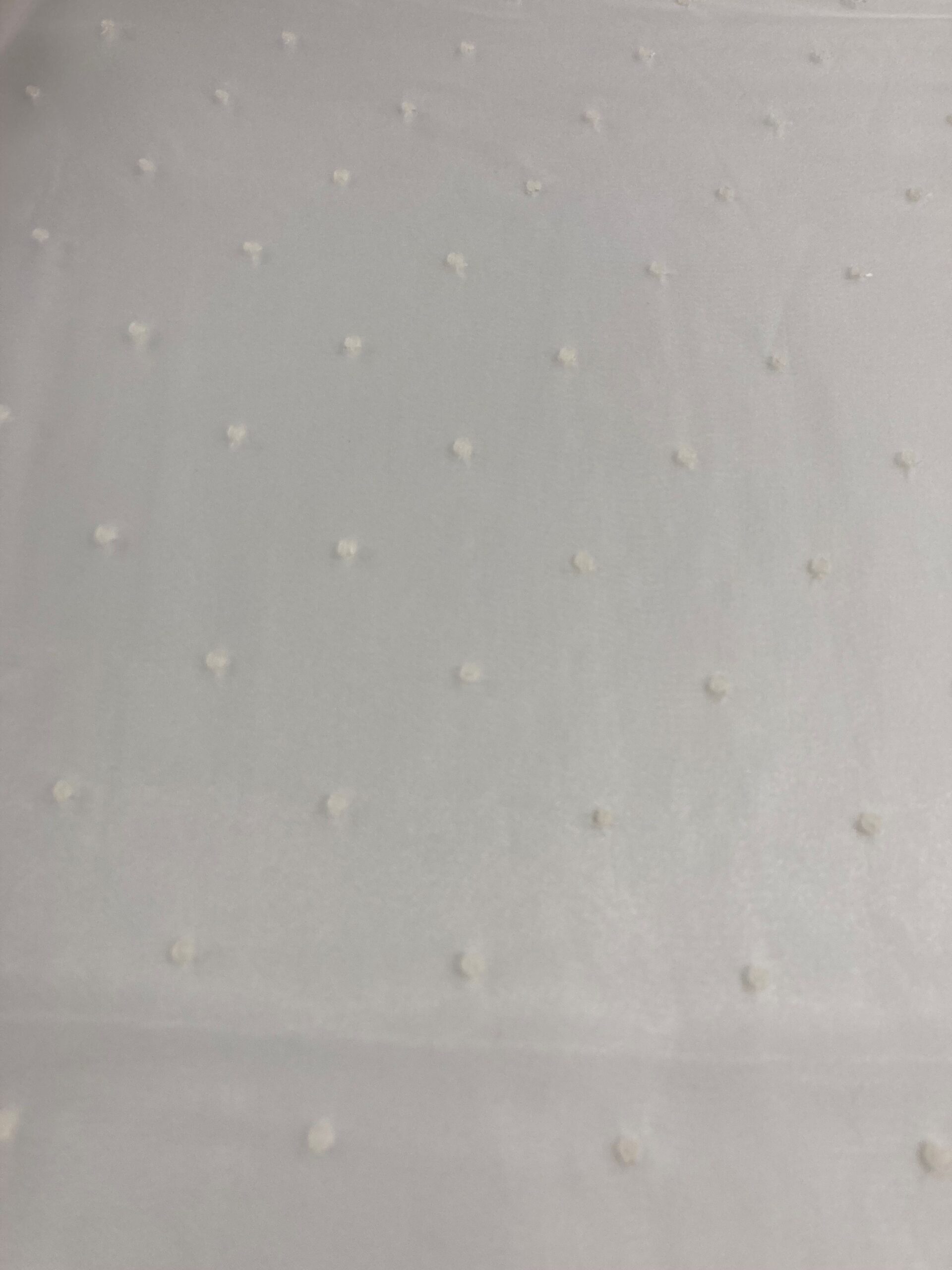 Organza plumeti bordada blanca