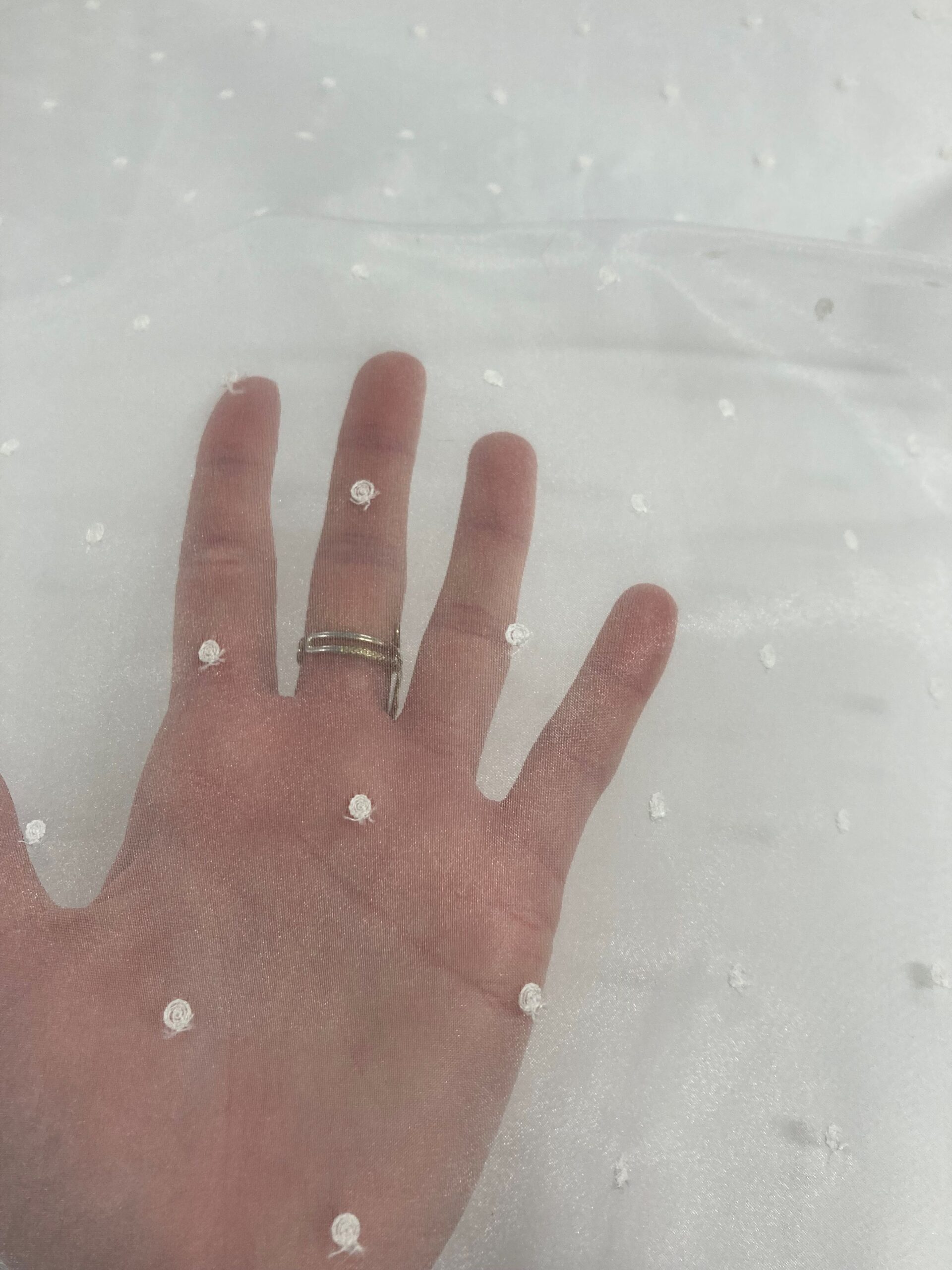 Organza plumeti bordada blanca