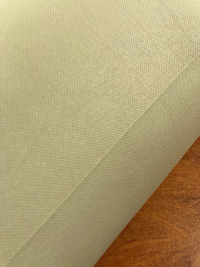 Punto foamizado techo coche beige tostado