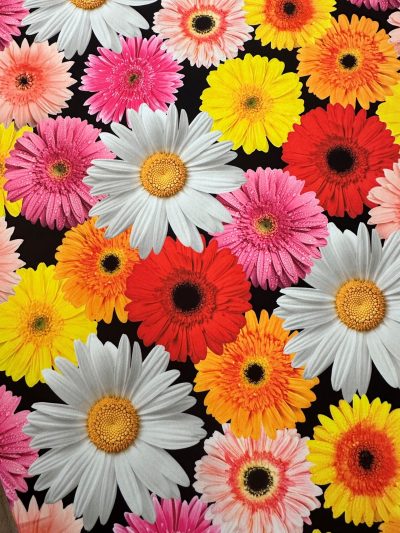 Bielástico fino Margaritas