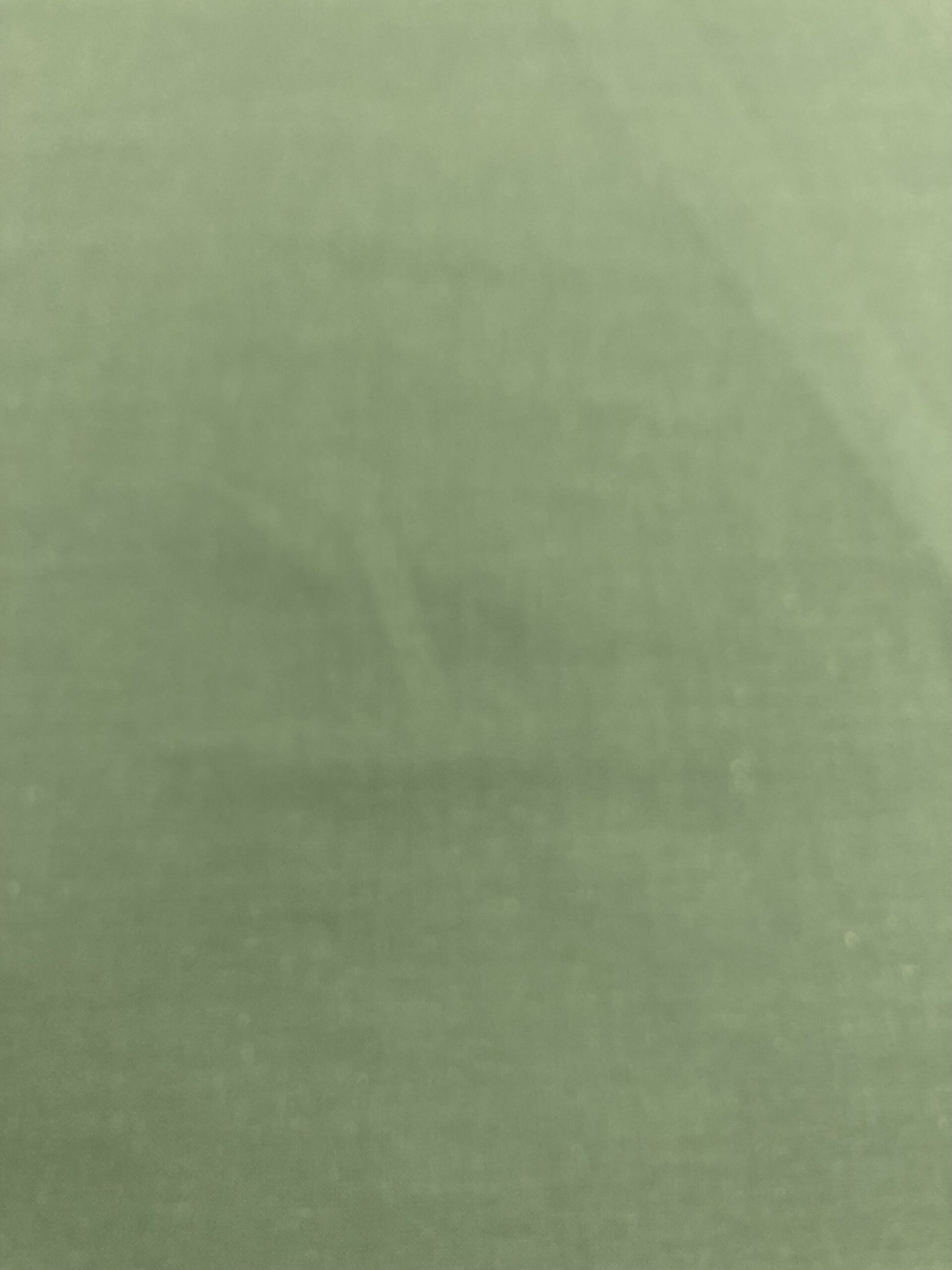 Algodón liso Mireia verde