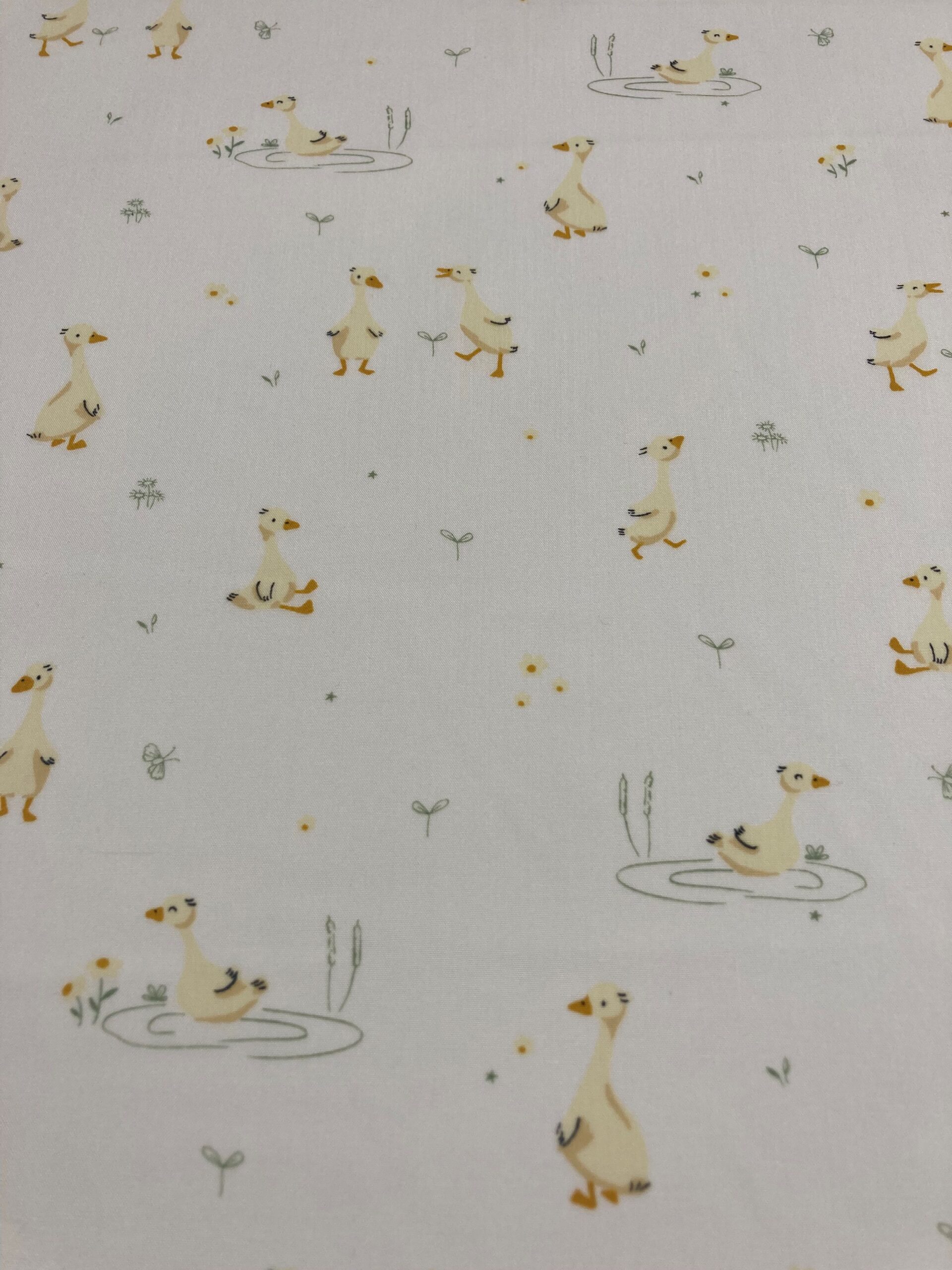 Algodón patos f.blanco