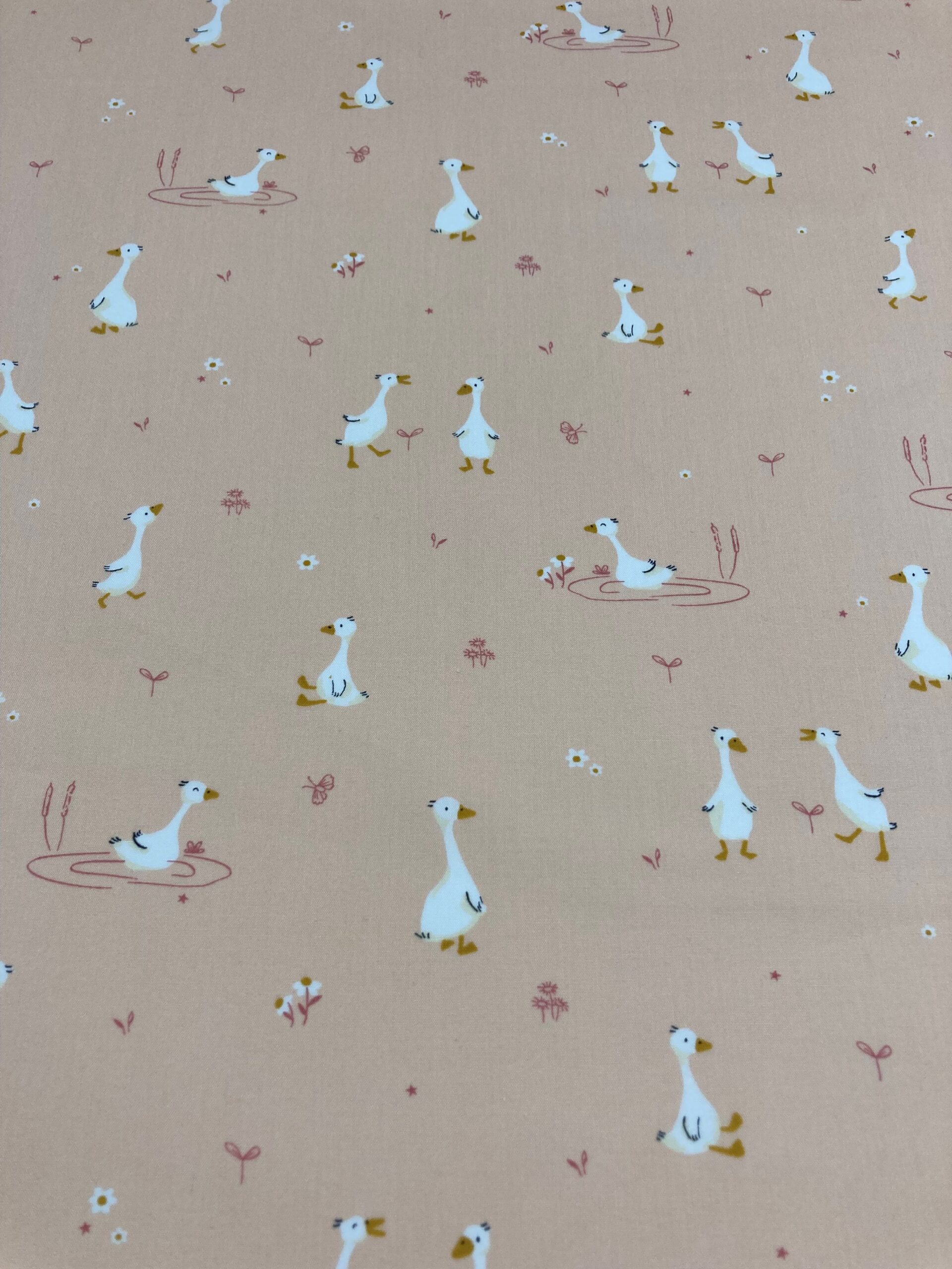 Algodón patos f.naranja