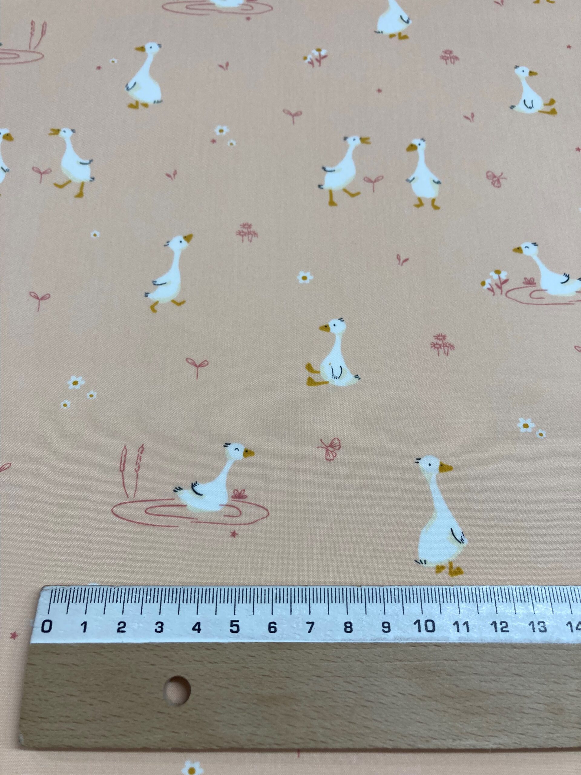 Algodón patos f.naranja