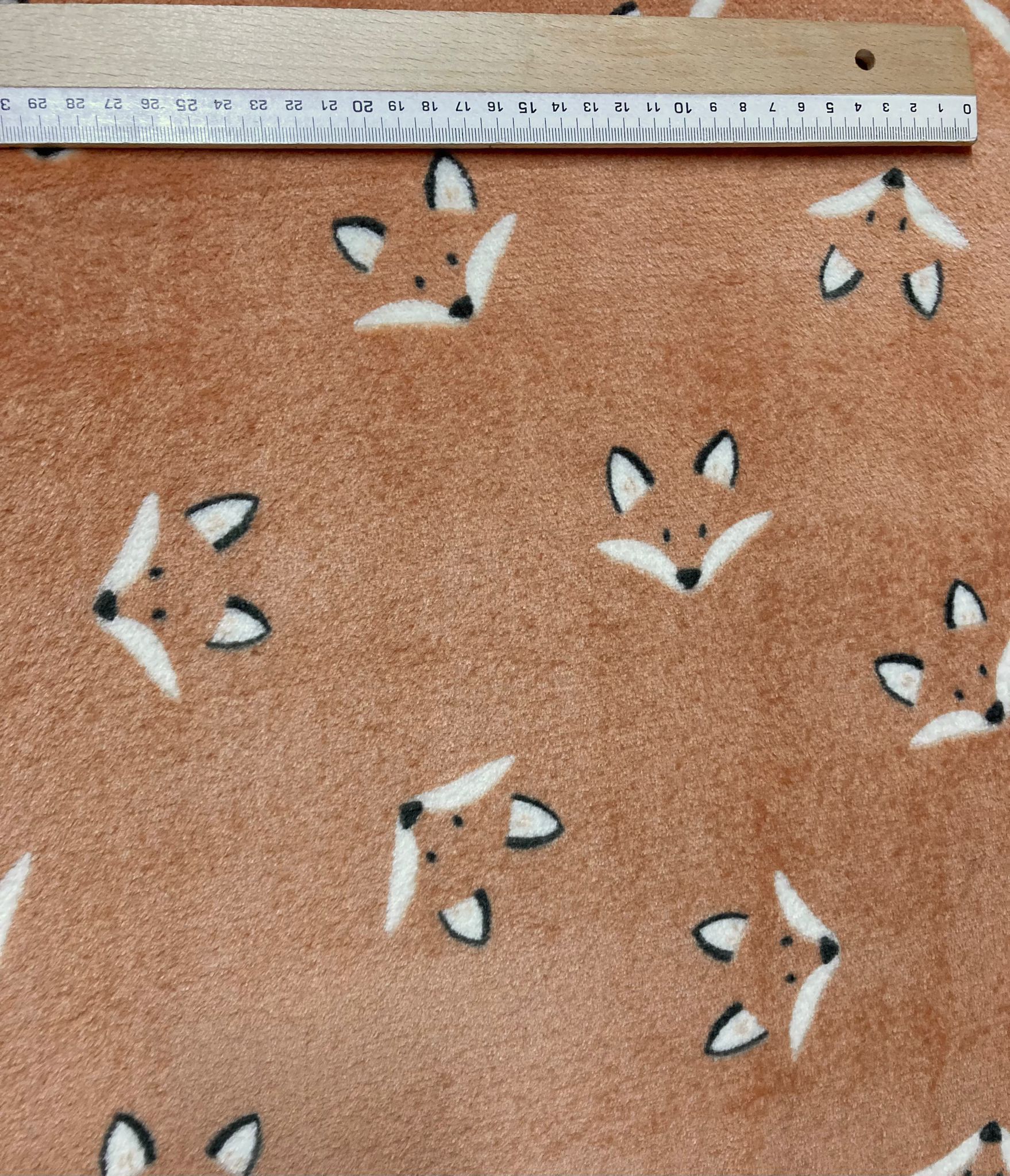 Coralina zorros - Imagen 2