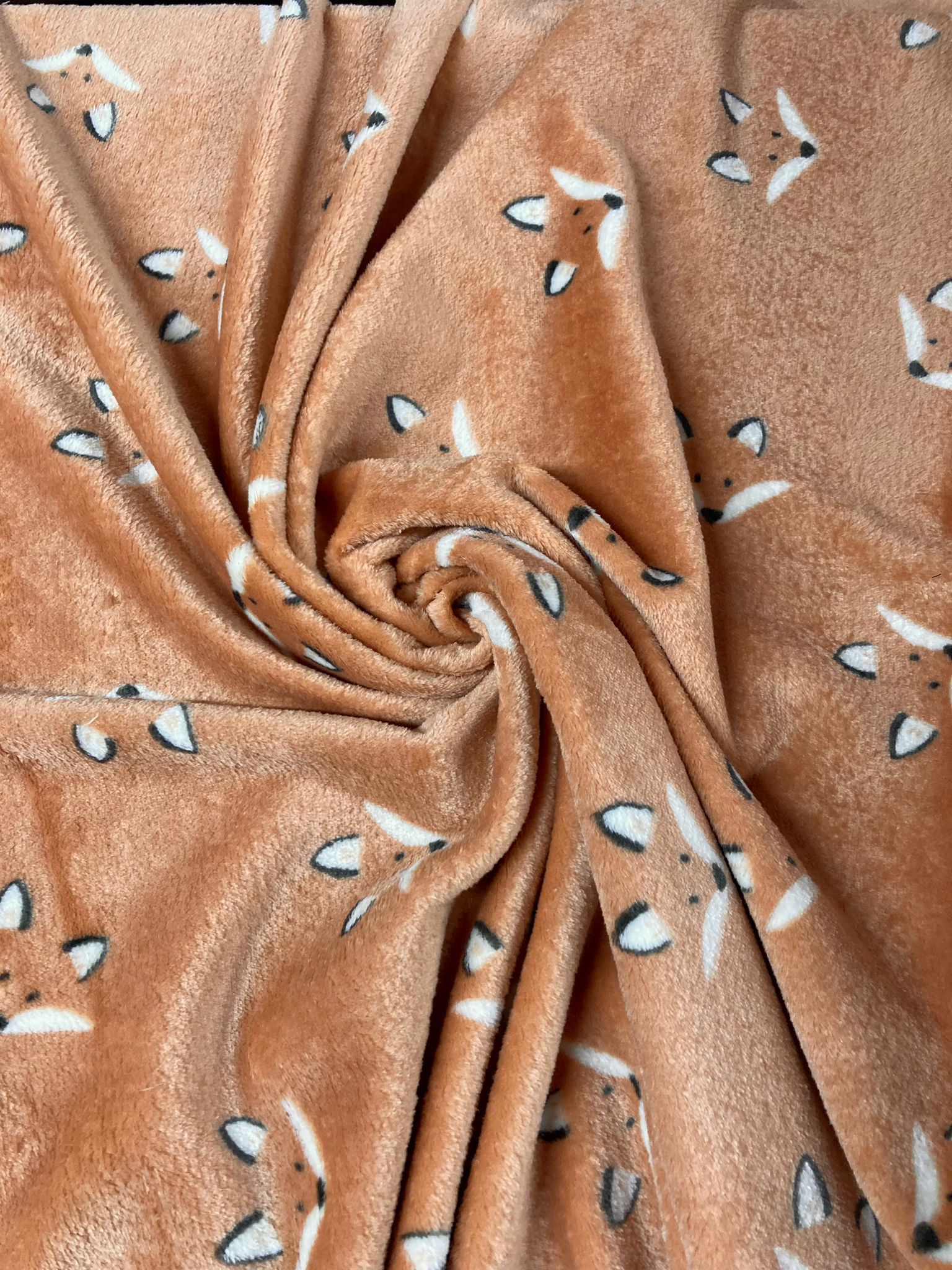 Coralina zorros - Imagen 3