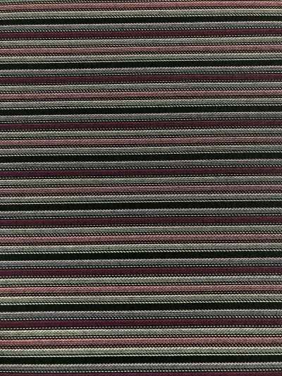 sarga regional negra