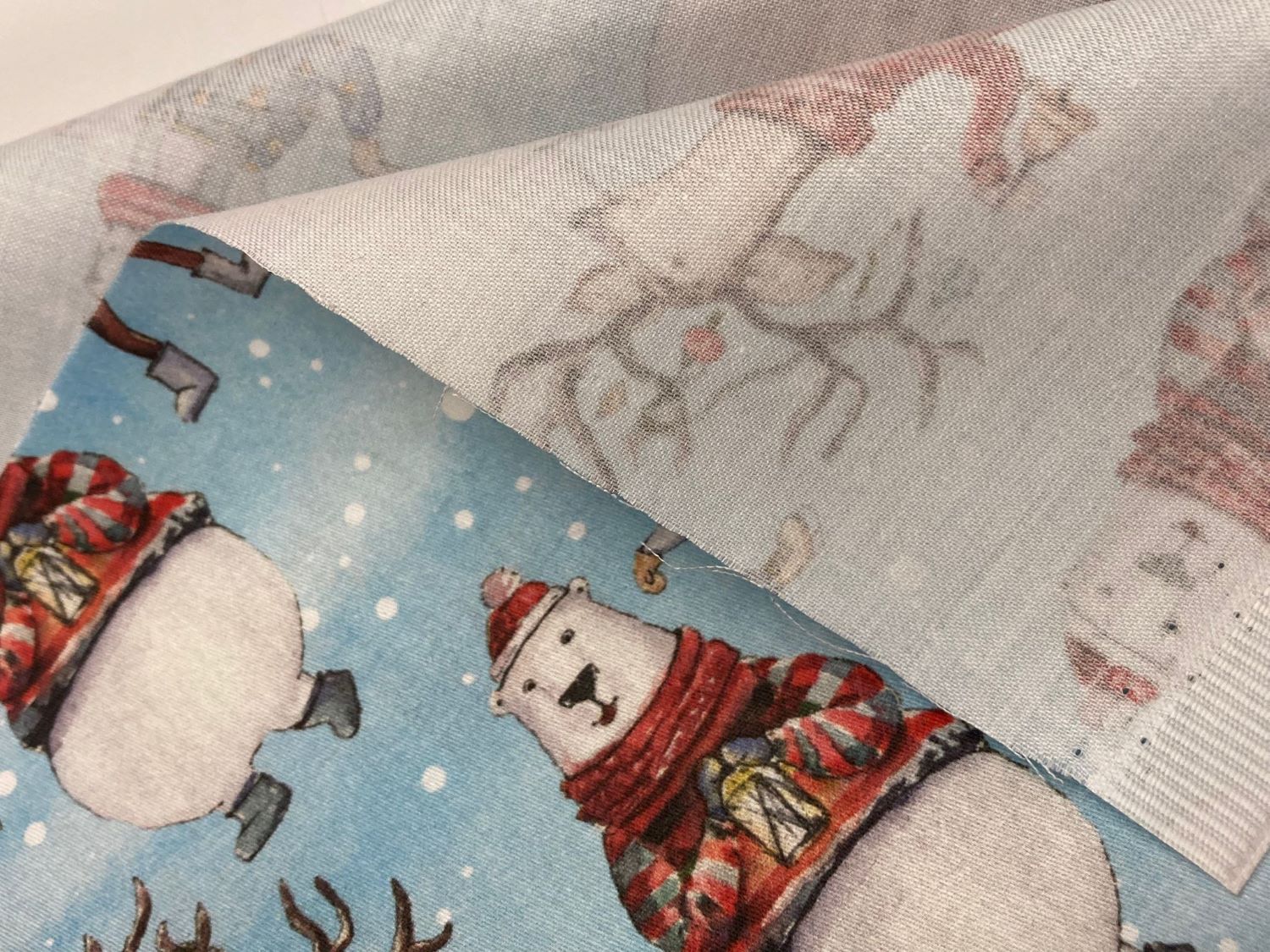 Algodón Nieve - Imagen 3